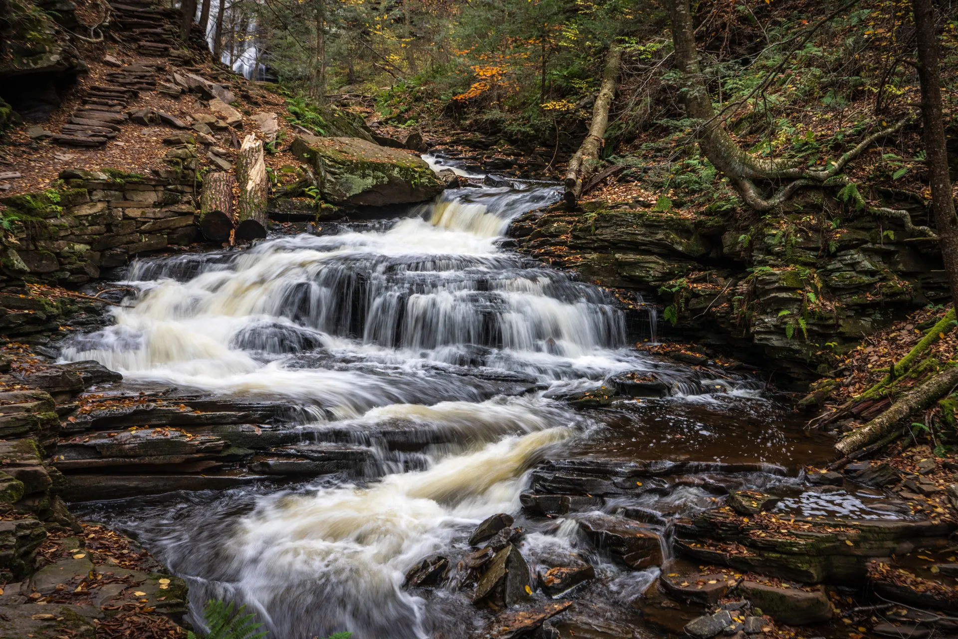 Ricketts Glen Camping Guide: Campgrounds, Cabins, and Reservations at Lake Jean