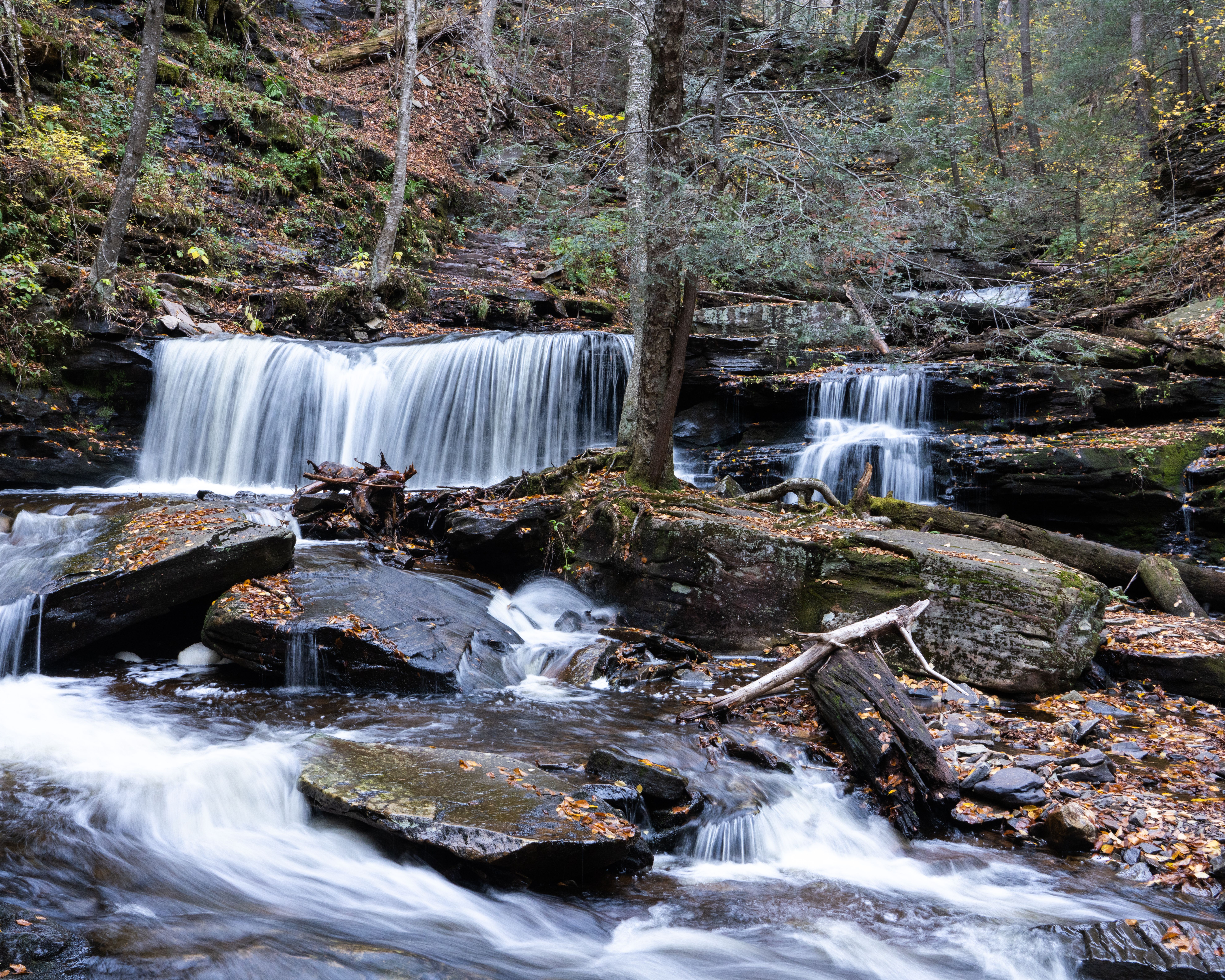 Ganoga Glen & Ganoga Falls