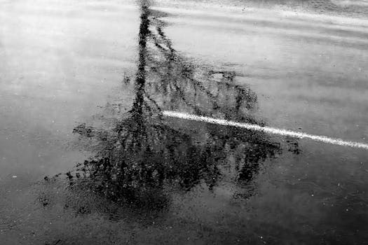 Monochrome image of tree reflection on rain-soaked pavement, showcasing serene atmosphere.