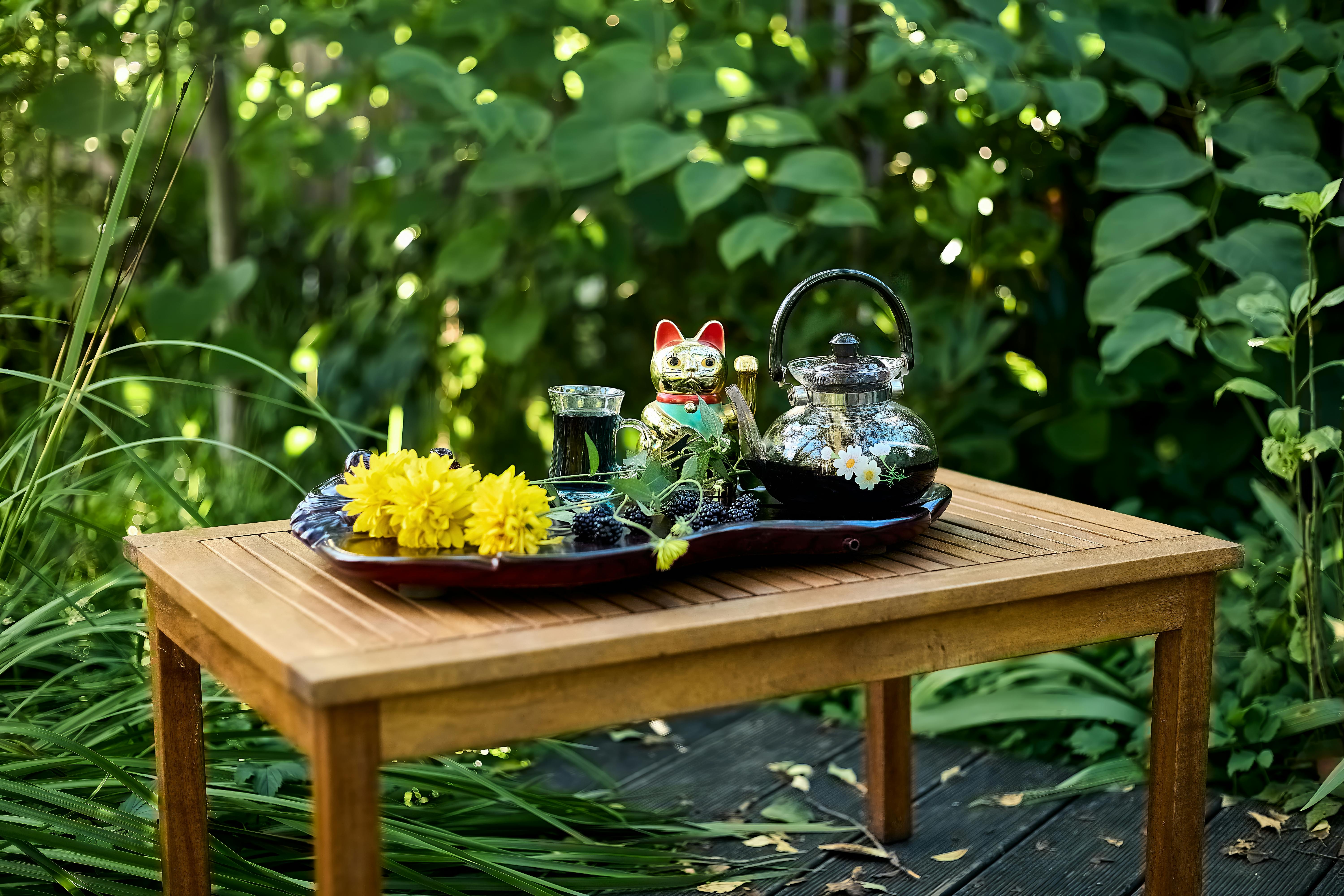 屏東健康博覽會打造全齡健康生活展場，縣立體育館變身健康新據點