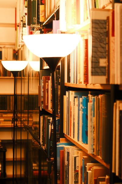 Cover for Essays That Rewired Me, photo by Alyona Nagel on Pexels