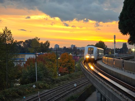 SkyTrain glides through Vancouver at sunset, surrounded by fall foliage.