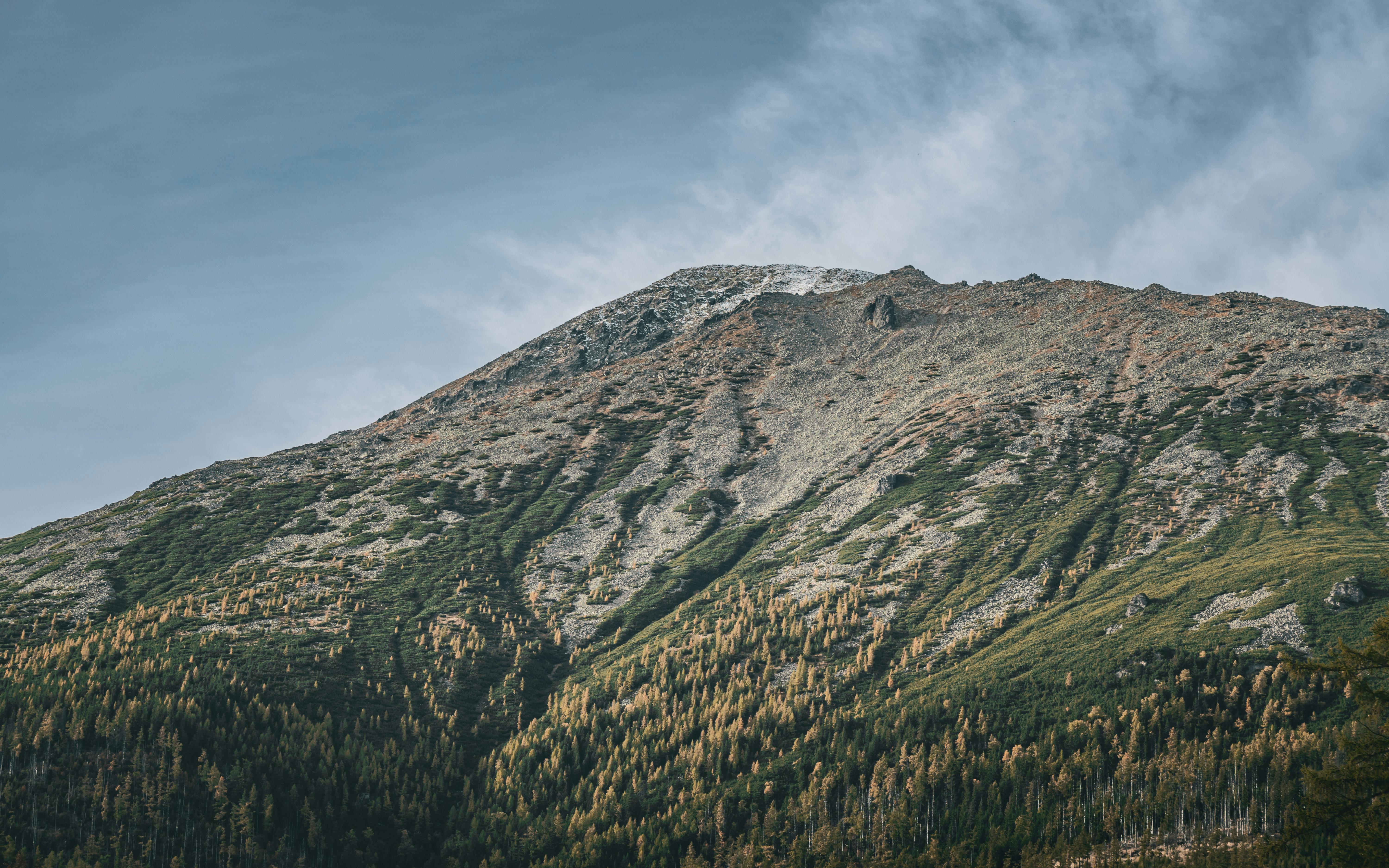 Image : Kilimanjaro's Call: Conquer Africa's Roof, Then Discover Kenya's Wild Heart with Jemu Expeditions