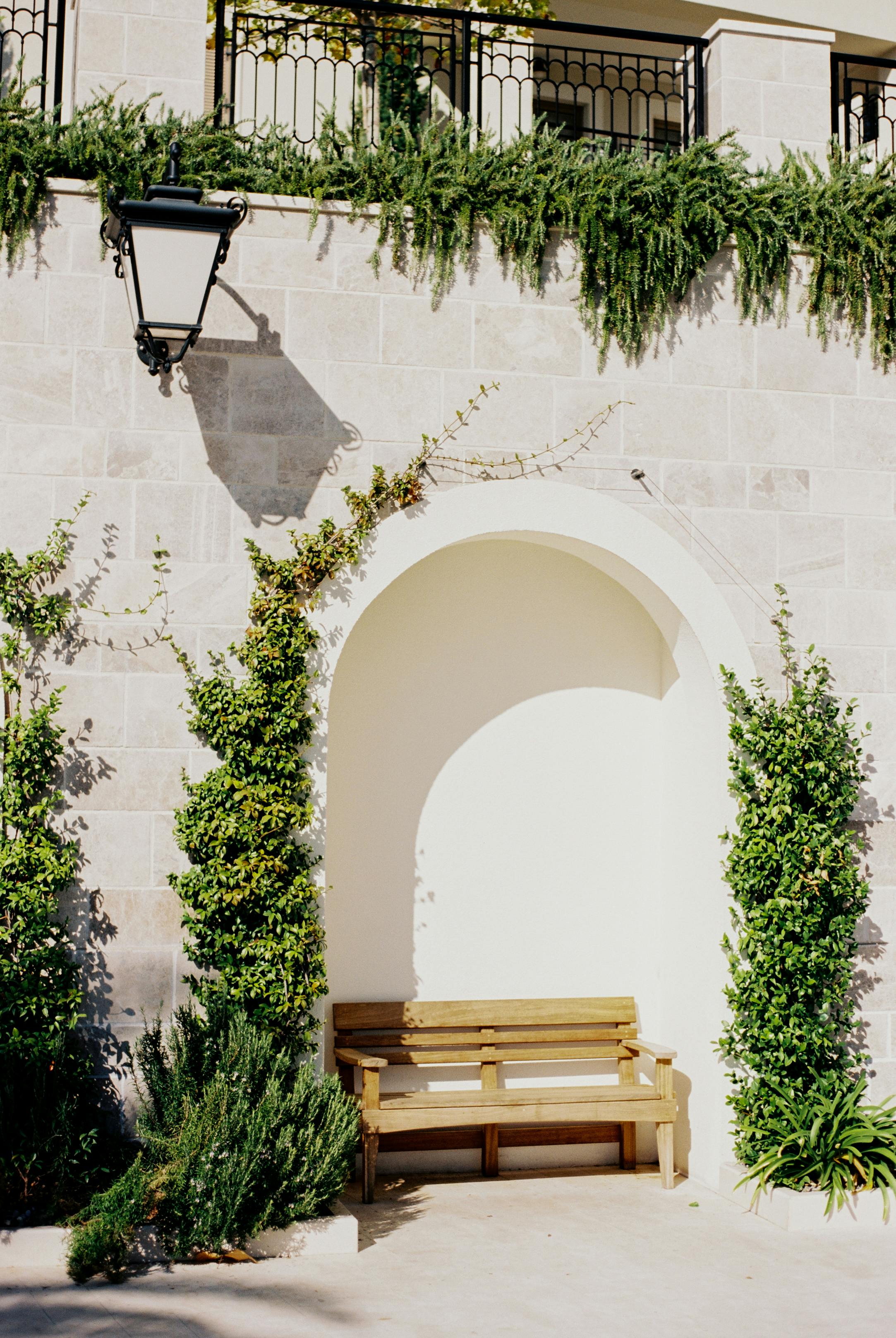 Sunny courtyard with a wooden bench against a stone wall adorned with lush green plants.