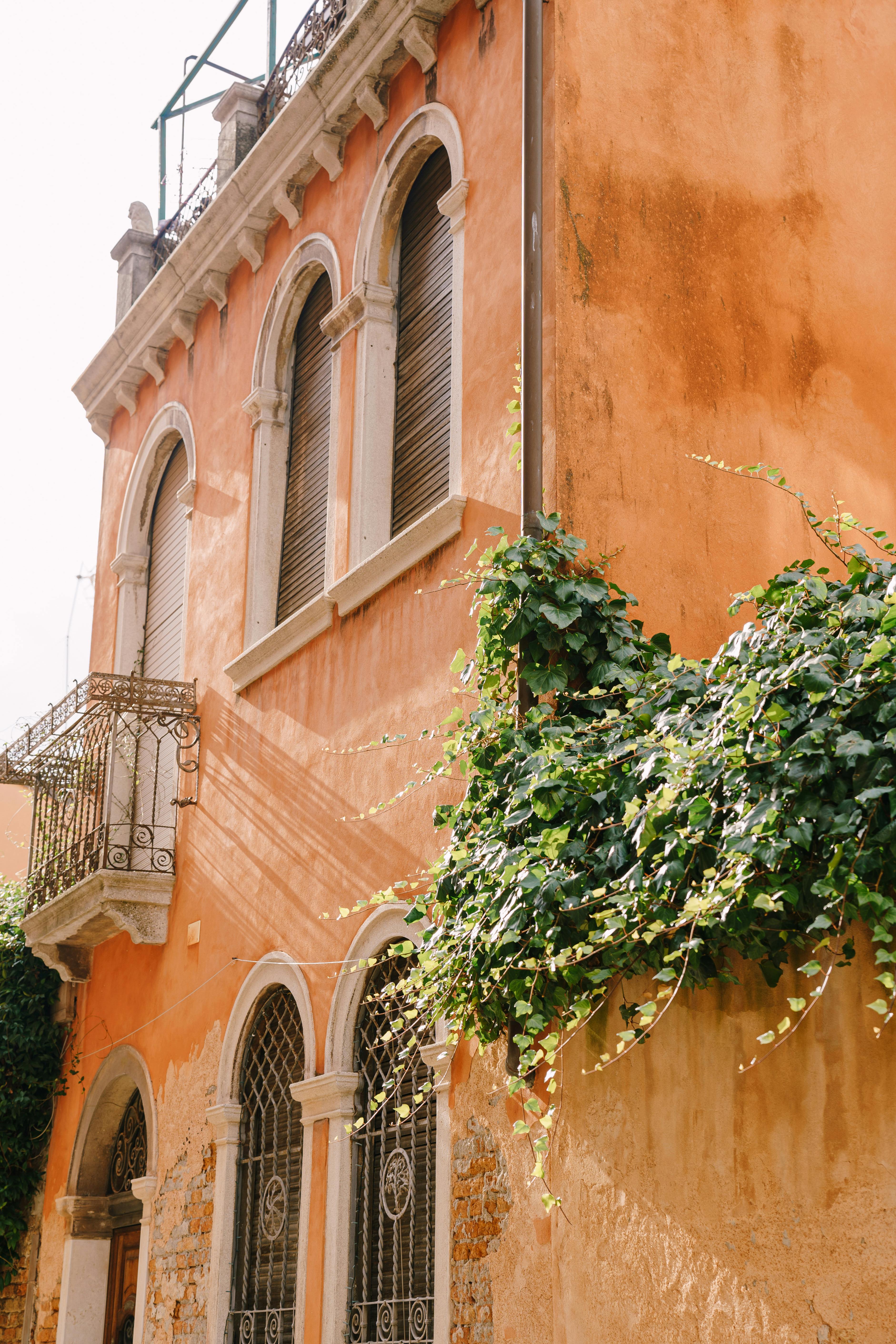 Charming Mediterranean building with ivy covered walls in soft sunlight.
