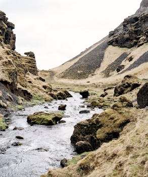 A tranquil stream flows through a rugged mountain valley with moss-covered rocks.