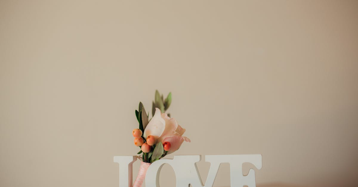 palavra elaboração