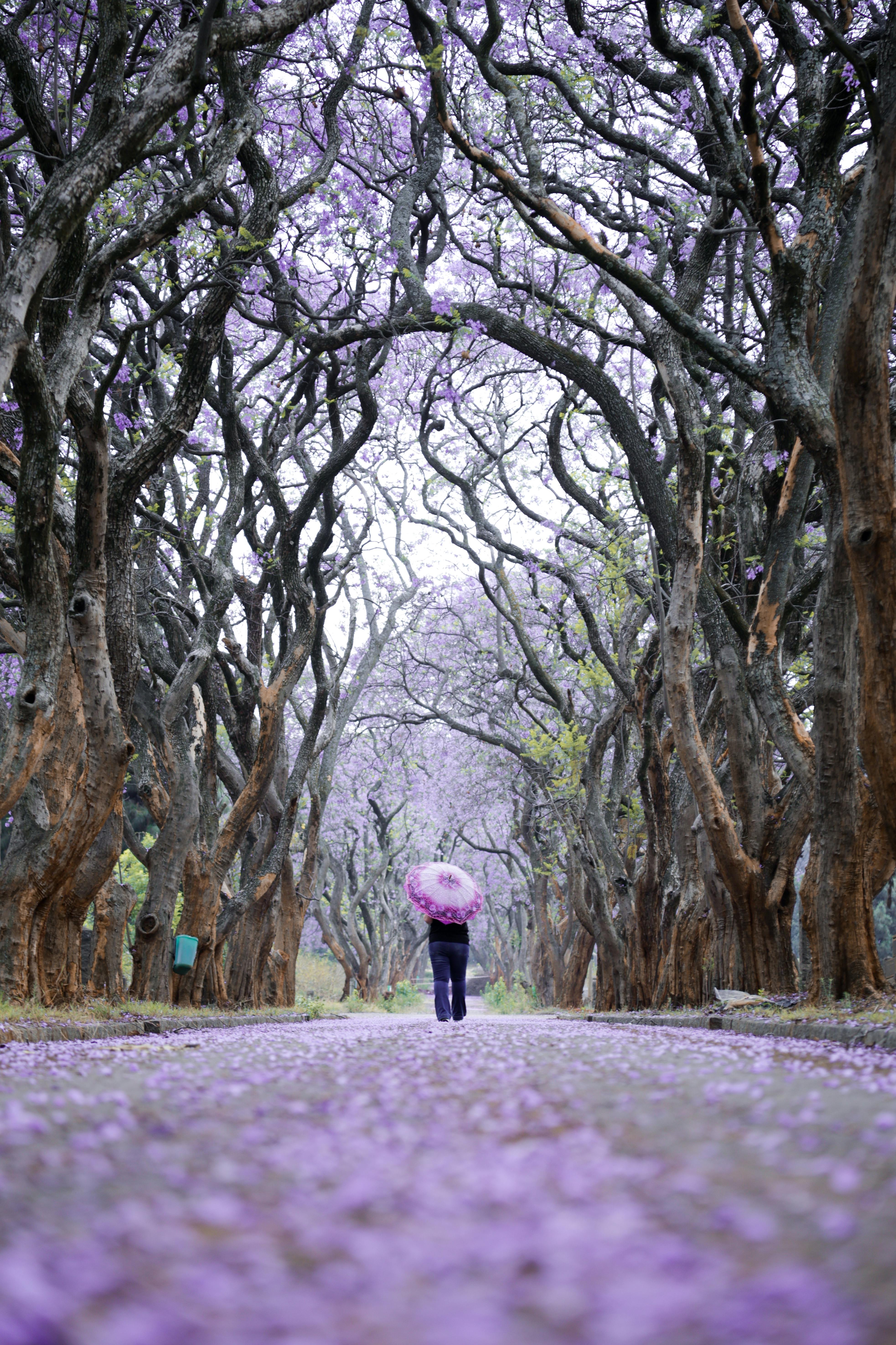 Kiralık Evlerde Kullanılacak Akıllı Mobilya Seçenekleri: Alanı Büyütmenin 4 Yolu!