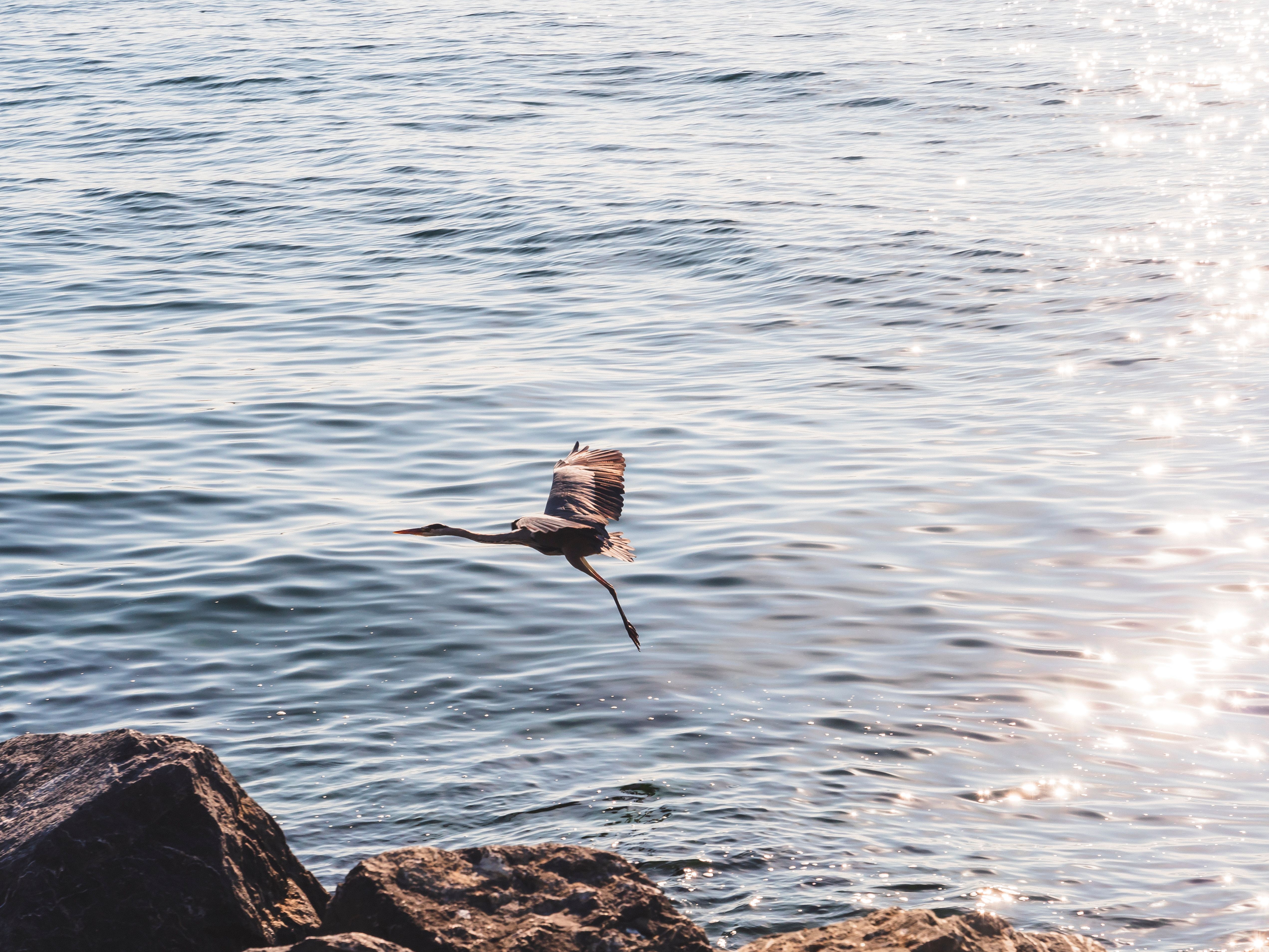Flying Rocks Photos, Download The BEST Free Flying Rocks Stock Photos ...