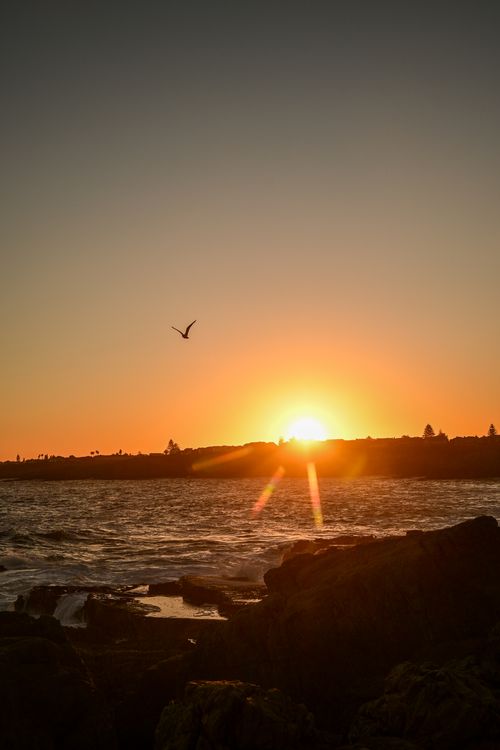 Free Stunning sunset view over Hermanus, South Africa, with a bird soaring in the horizon. Stock Photo