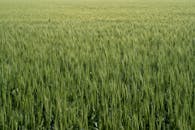 Paseo del Buen Pastor