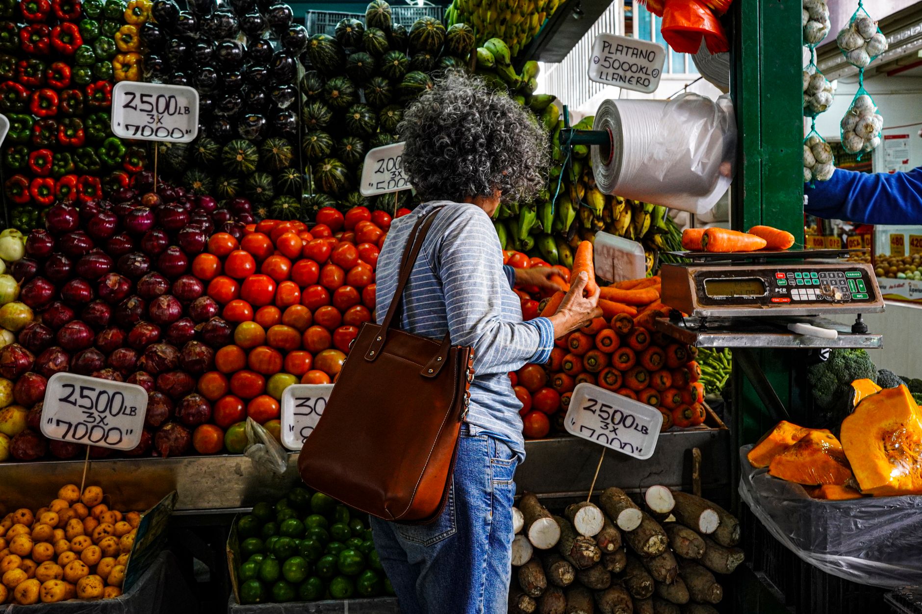 Ingredientes frescos para sopa Variedad de vegetales frescos para sopa