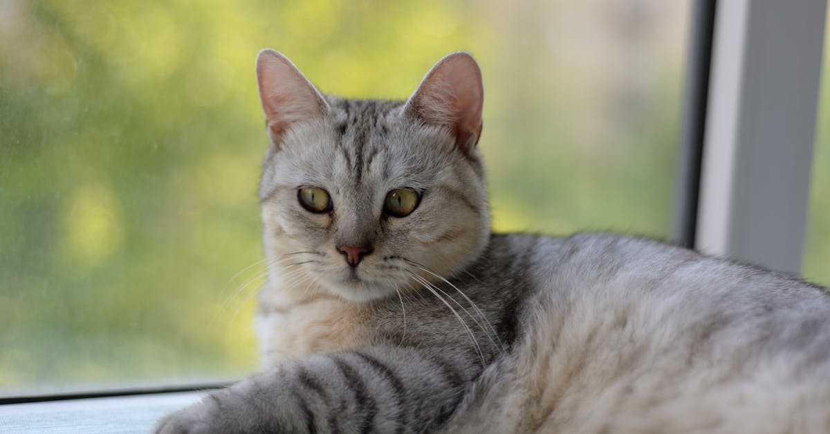 政治:張景森倡環評制度改革 強調科學分析與標準治理