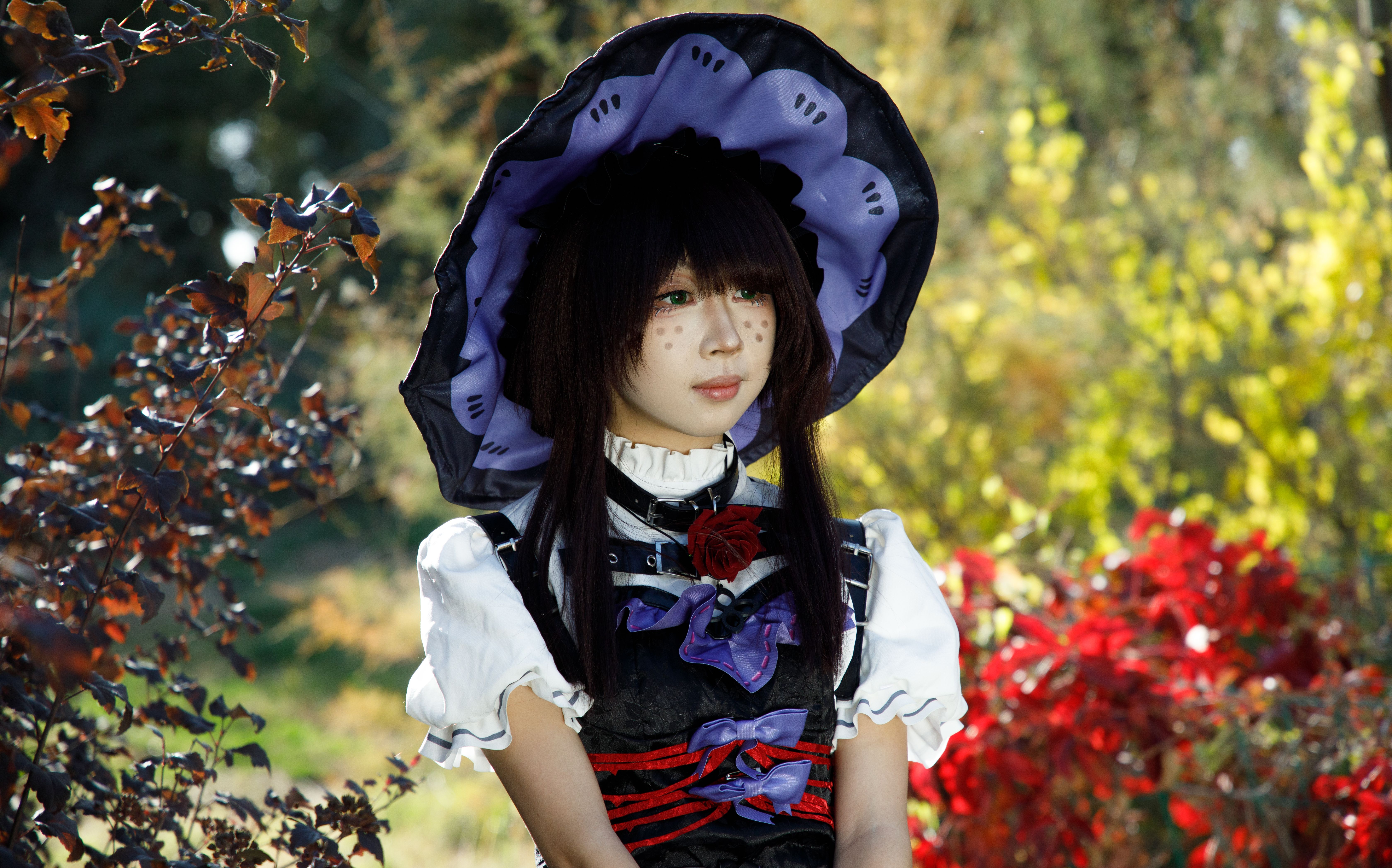 The Witch Hat Atelier Anime Adaptation Matches the Manga’s Highs and Lows — Photo by gg band on Pexels