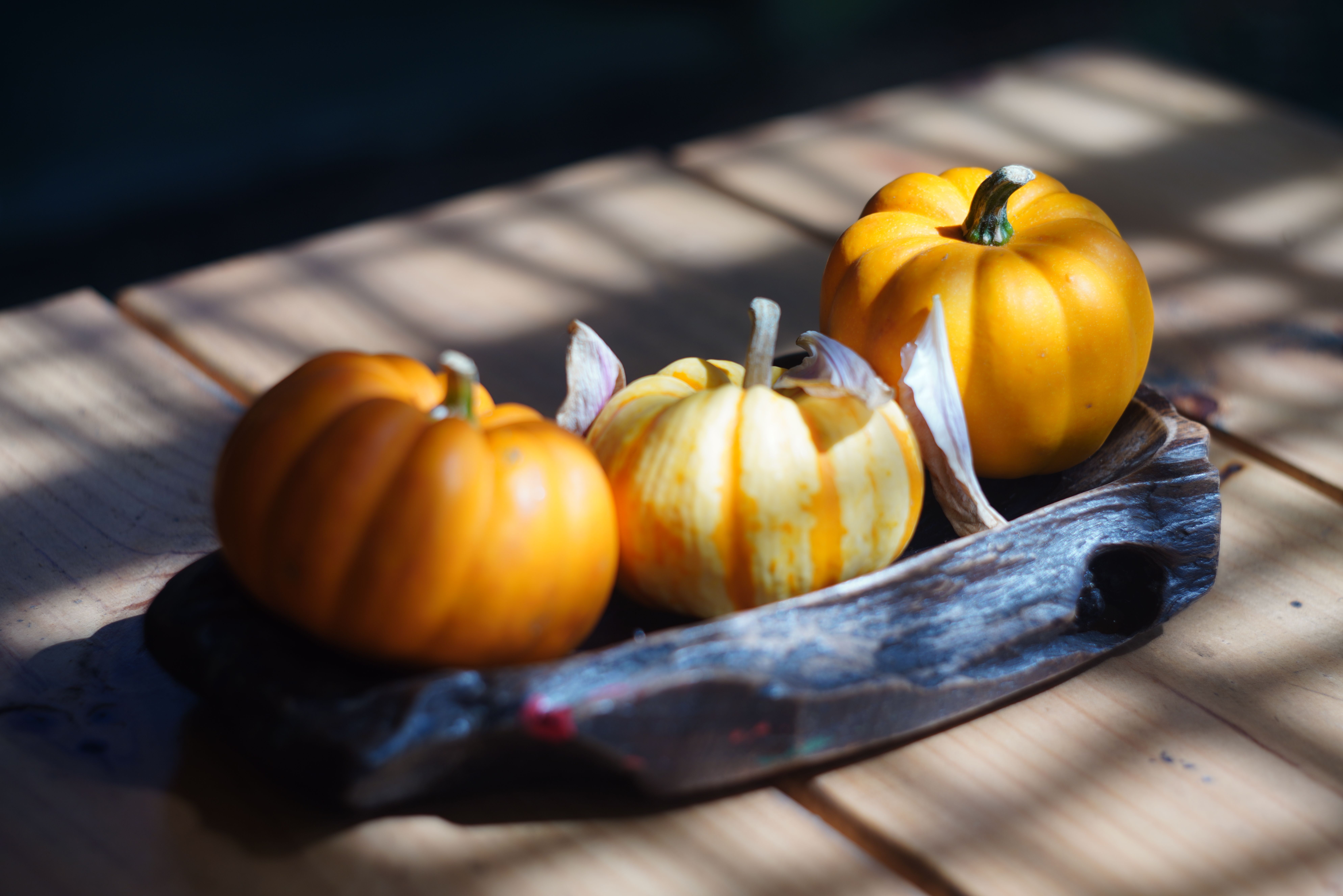 Rustic Autumn Mini Pumpkins on Wooden Tray · Free Stock Photo