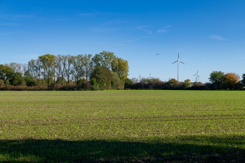 Free Sunny open field with wind turbines and trees under clear blue sky, perfect for renewable energy symbolism. Stock Photo