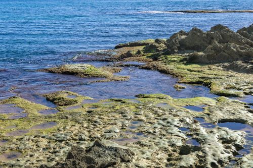 Free Explore the rocky shoreline with vibrant seaweed at Torrevieja's stunning coastline in the mid-day sun. Stock Photo