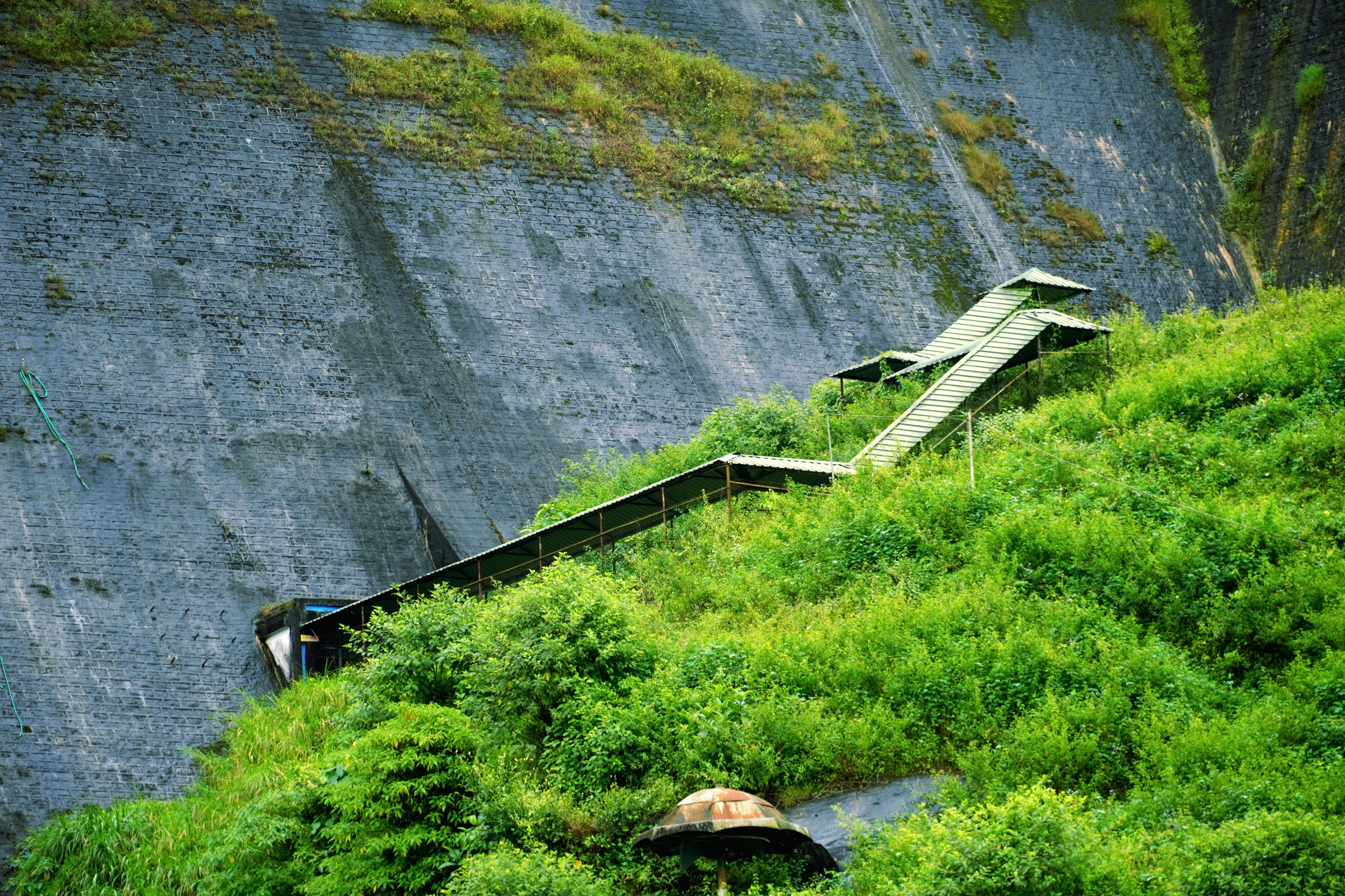 Effective Strategies for Managing Workplace Disputes