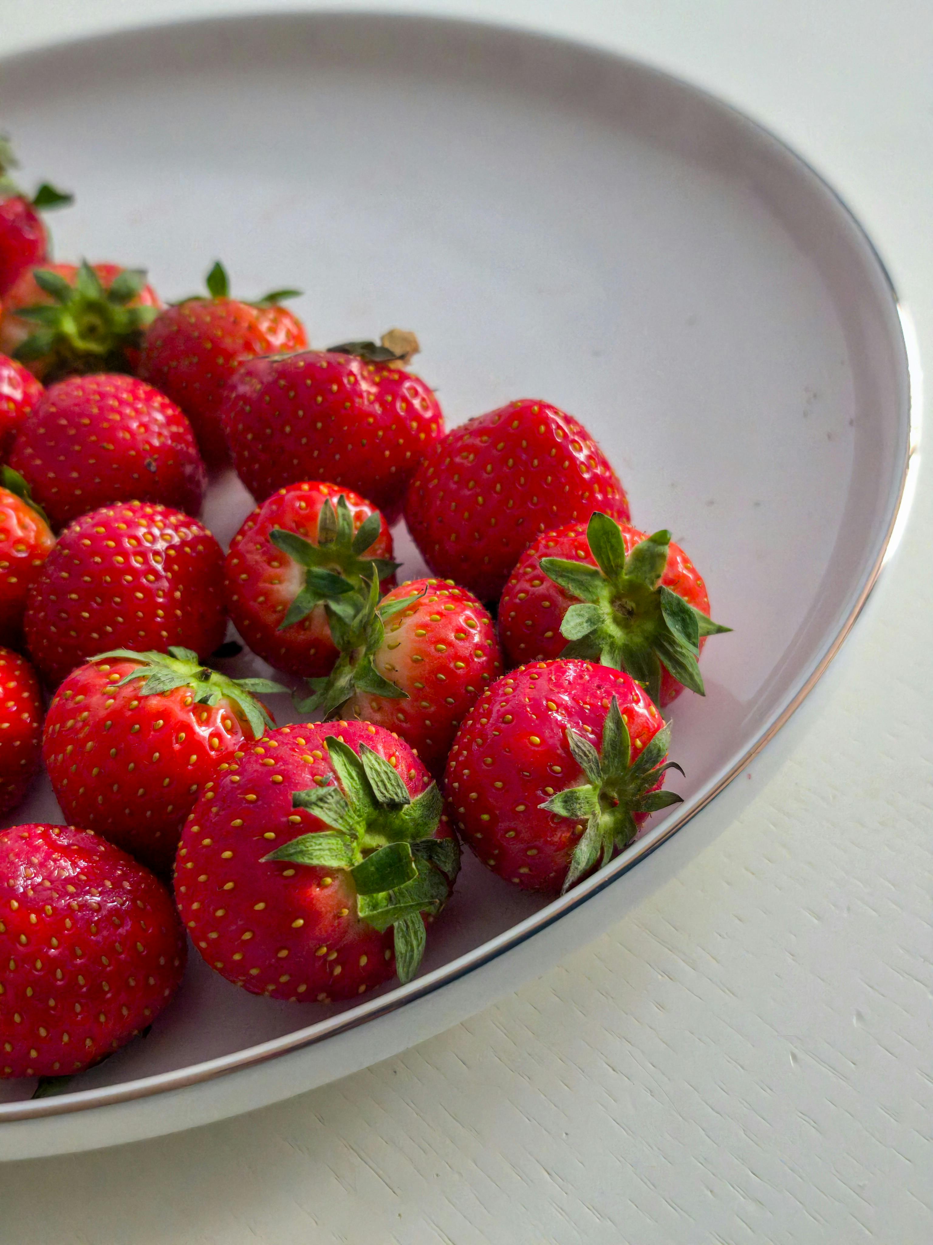 Racoon Drawing Photos Download The BEST Free Racoon Drawing Stock