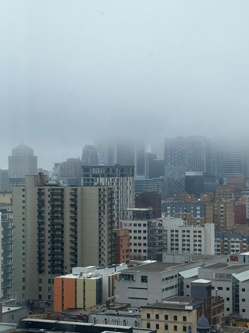 Free City skyline shrouded in fog, obscuring skyscraper tops, depicting a moody urban atmosphere. Stock Photo