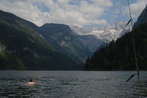 Free Swimming @ Gosausee Stock Photo