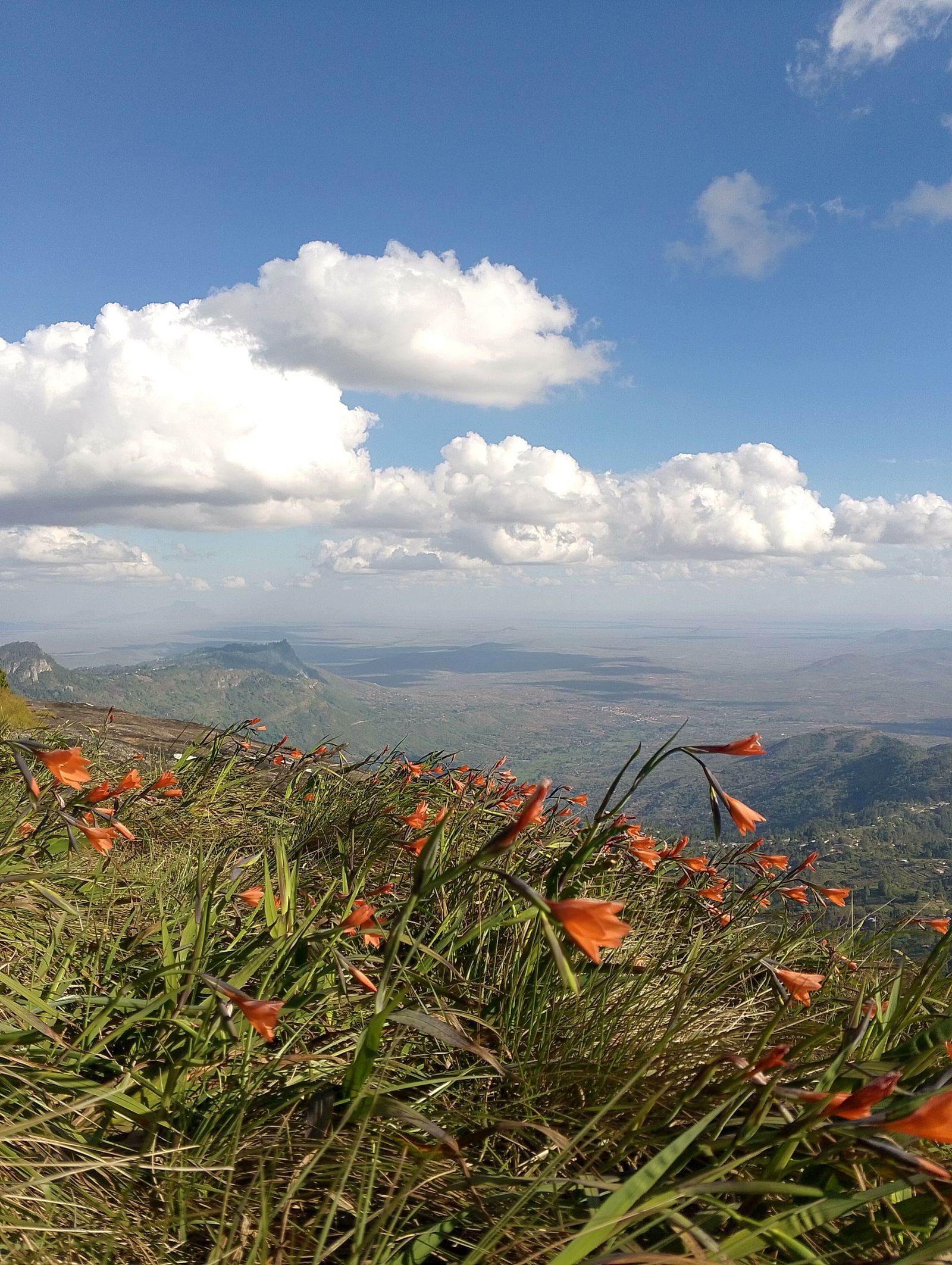 Scenic Kenyan landscape for a day trip