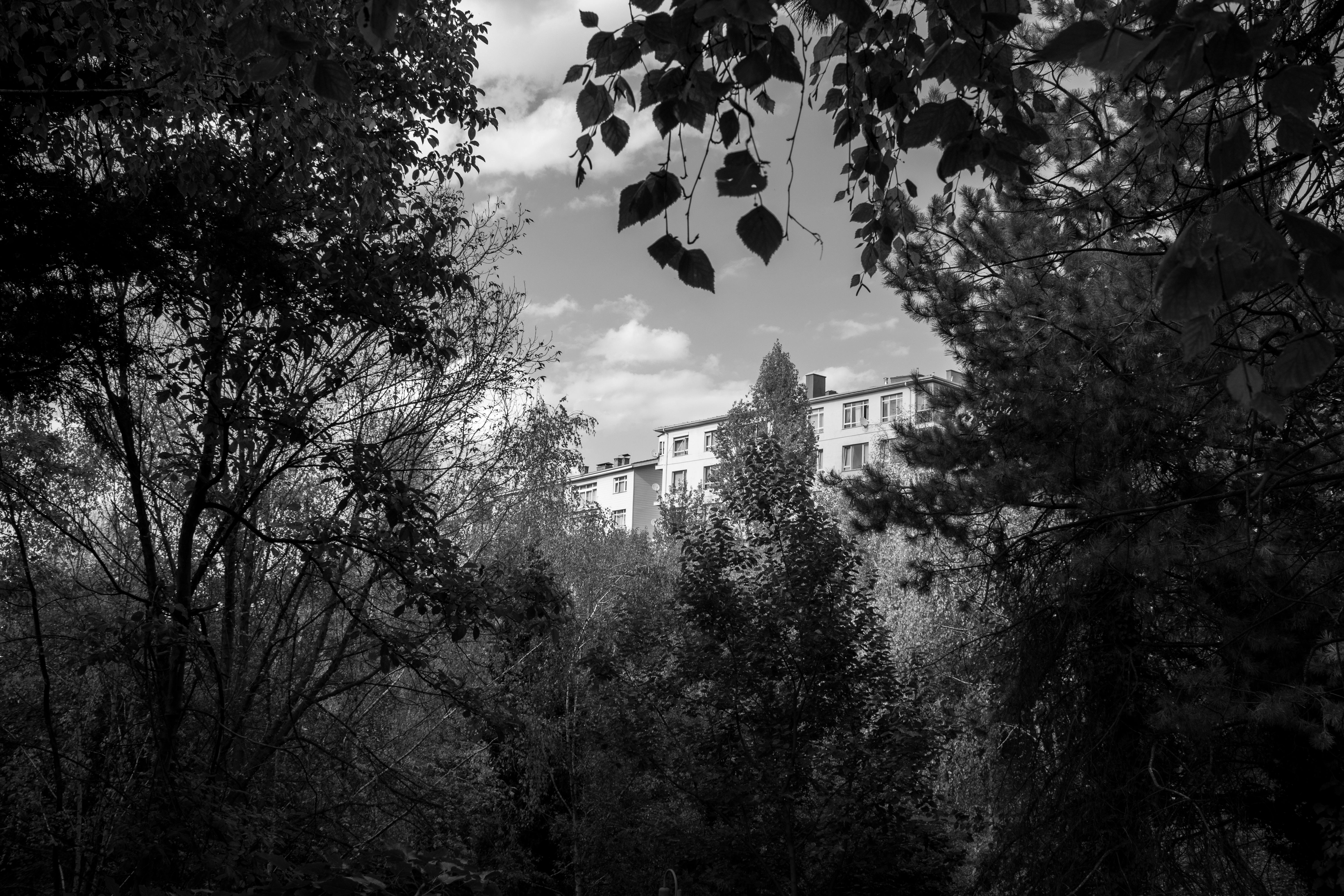 田園城市推菜蔬上板植物 美化生活新趨勢