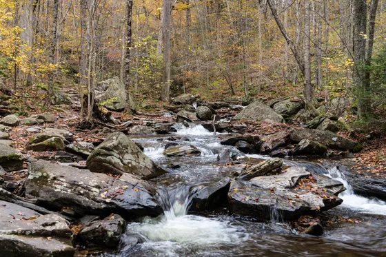 Stone steps and a waterfall on the Falls Trail at Ricketts Glen