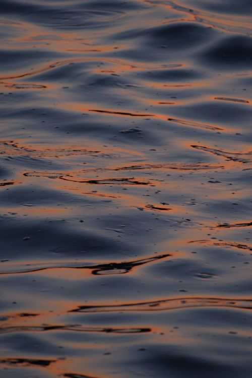 Free Calm water surface reflecting gentle sunset hues creates a peaceful, tranquil scene. Stock Photo