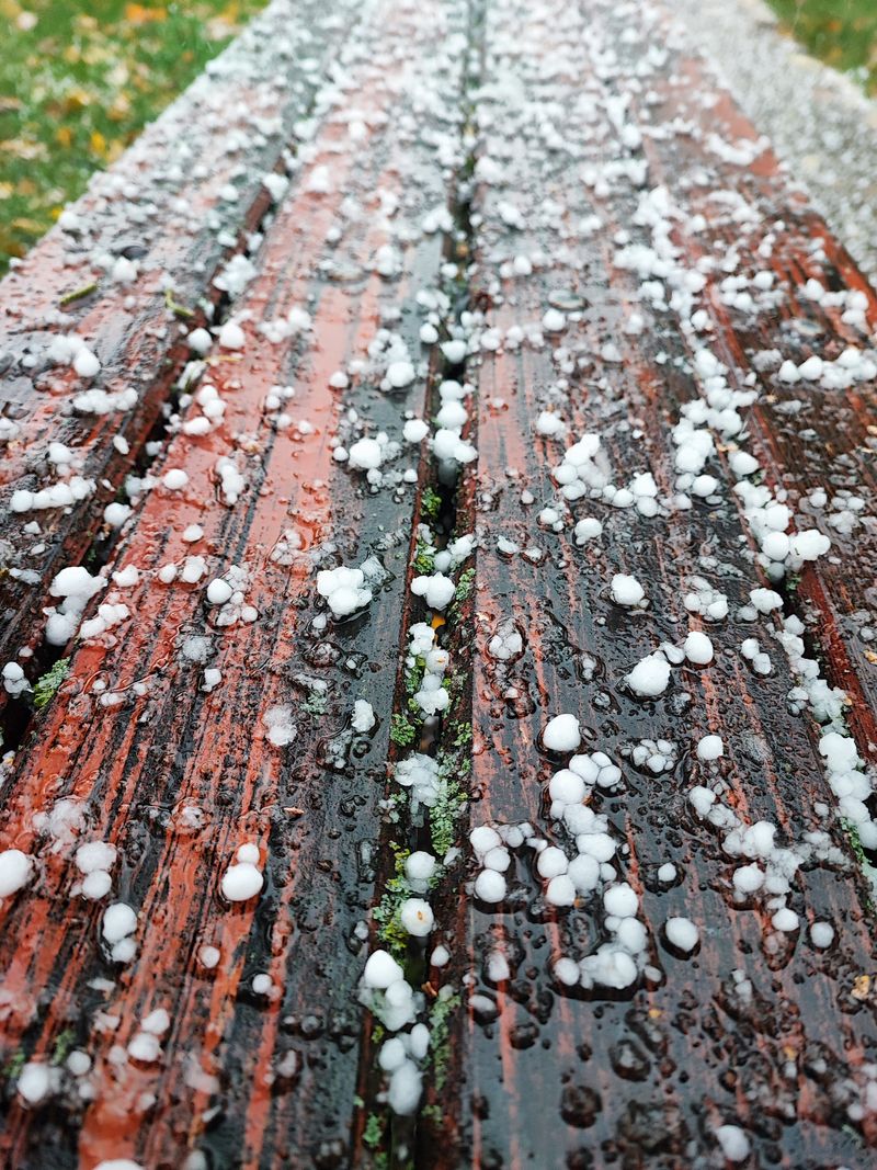 Hailstones scattered on a wet wooden deck after a storm