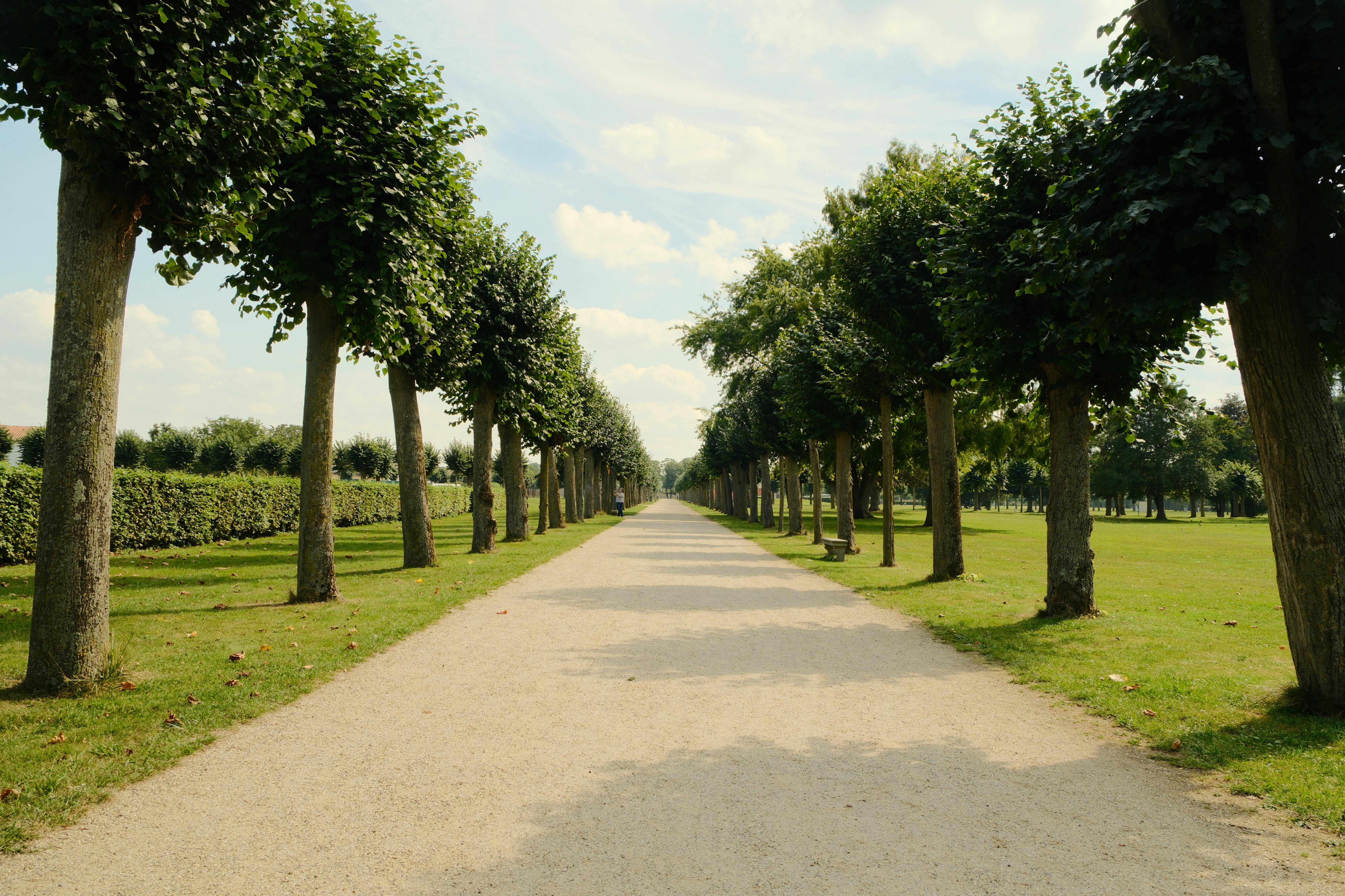 嘉義湖子內社區公園綠地新建工程開工 推動全齡綠色生活圈