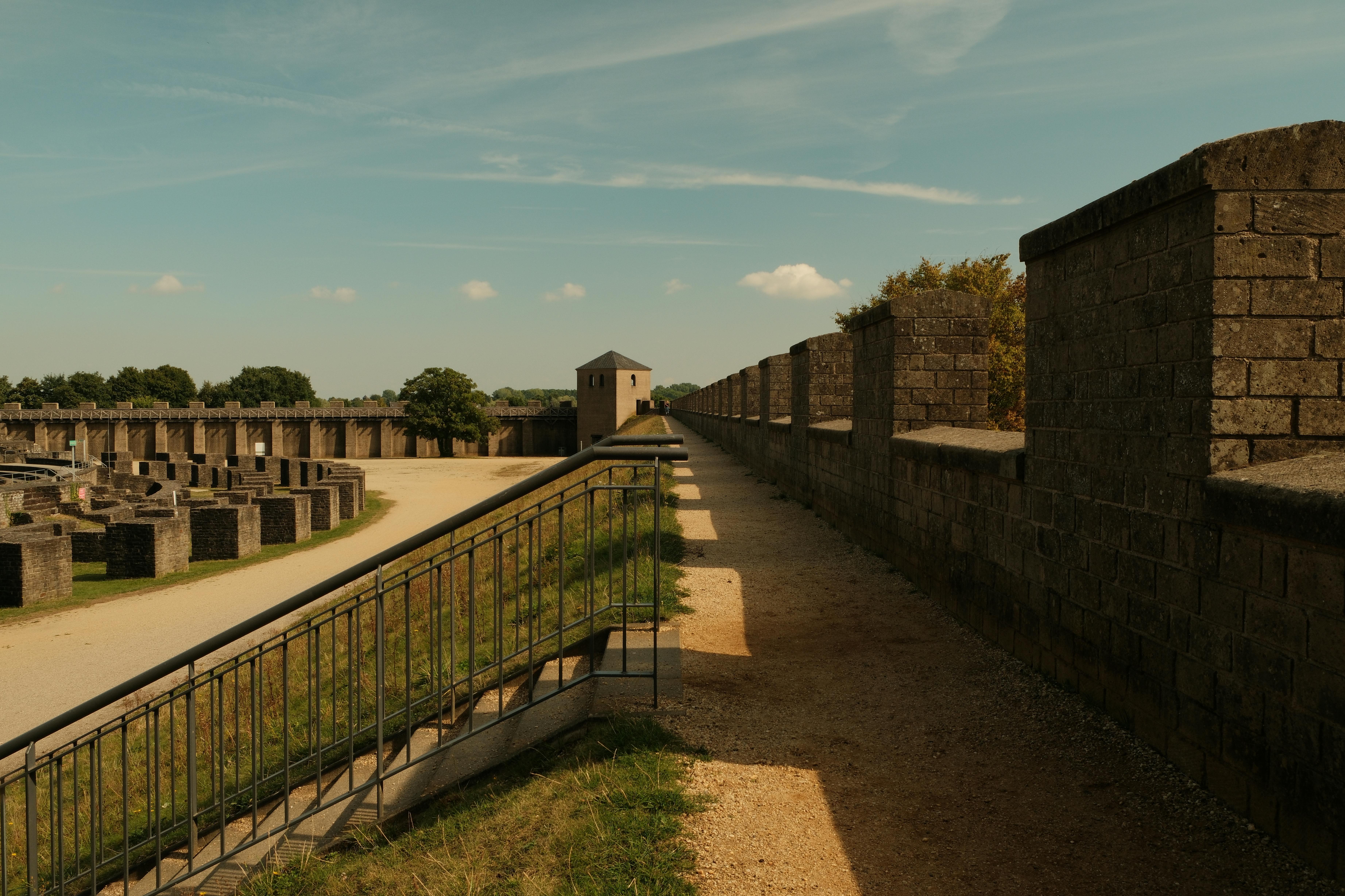 Preserving Endangered Languages: A Guide to Cultural Heritage