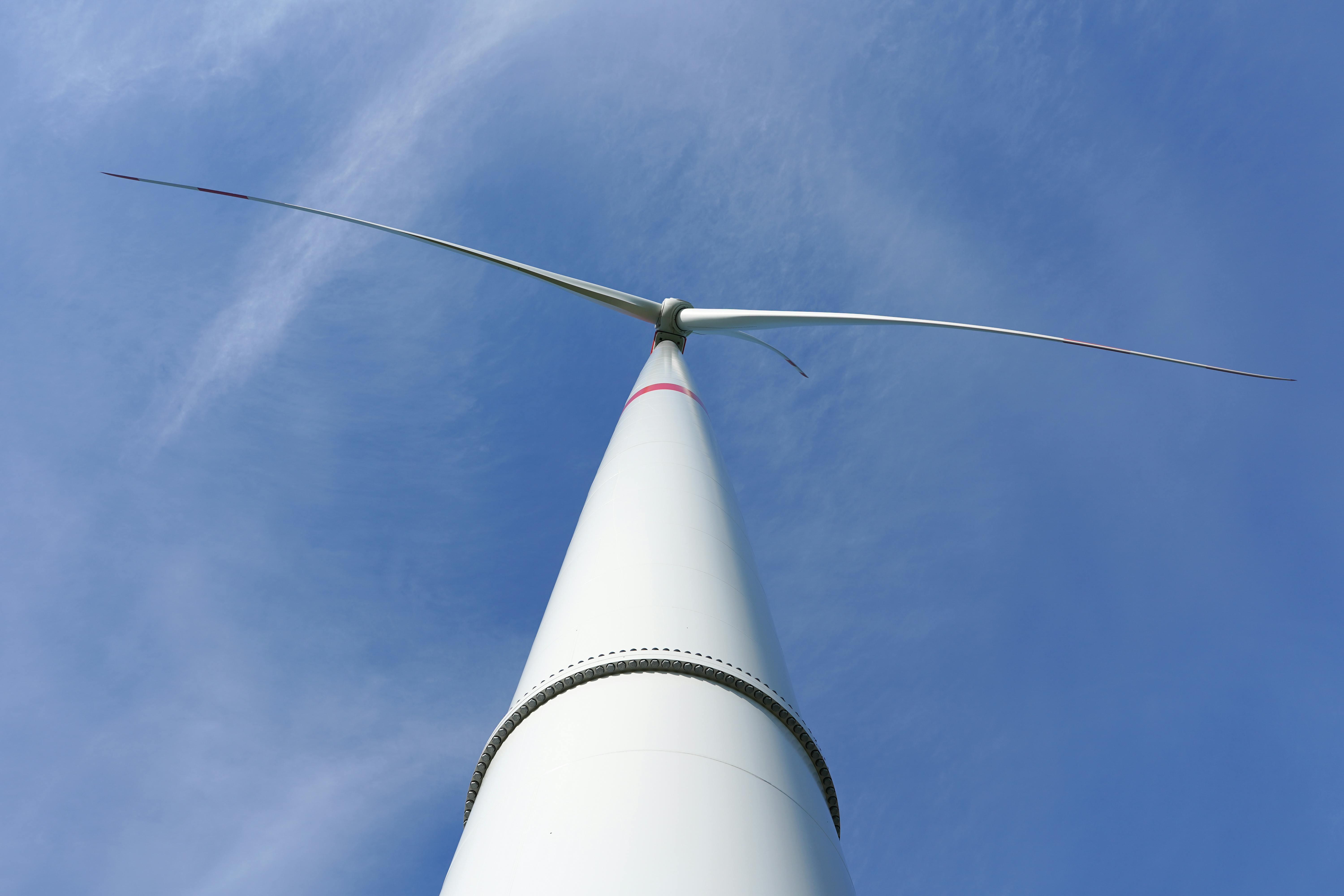 Sustainable Office Furniture and Renewable Materials: Creating Eco-Friendly Workspaces