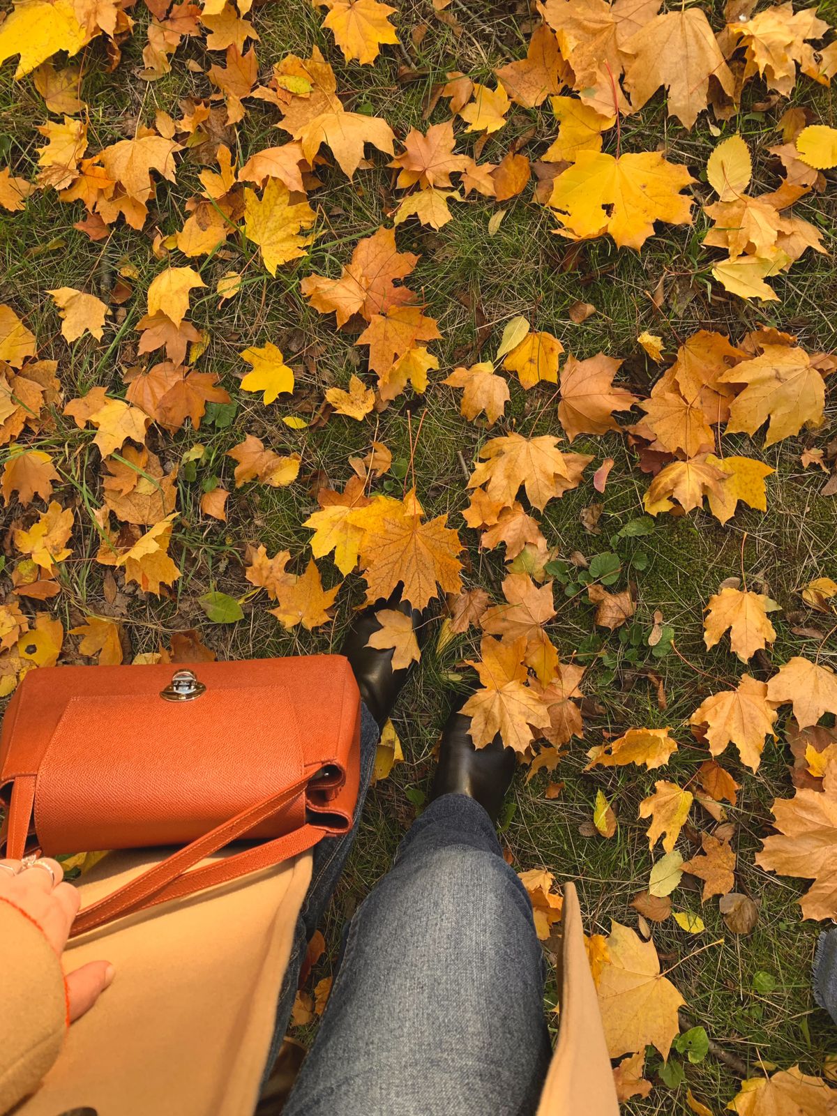 A stylish person walks through vibrant autumn leaves carrying a chic orange handbag.