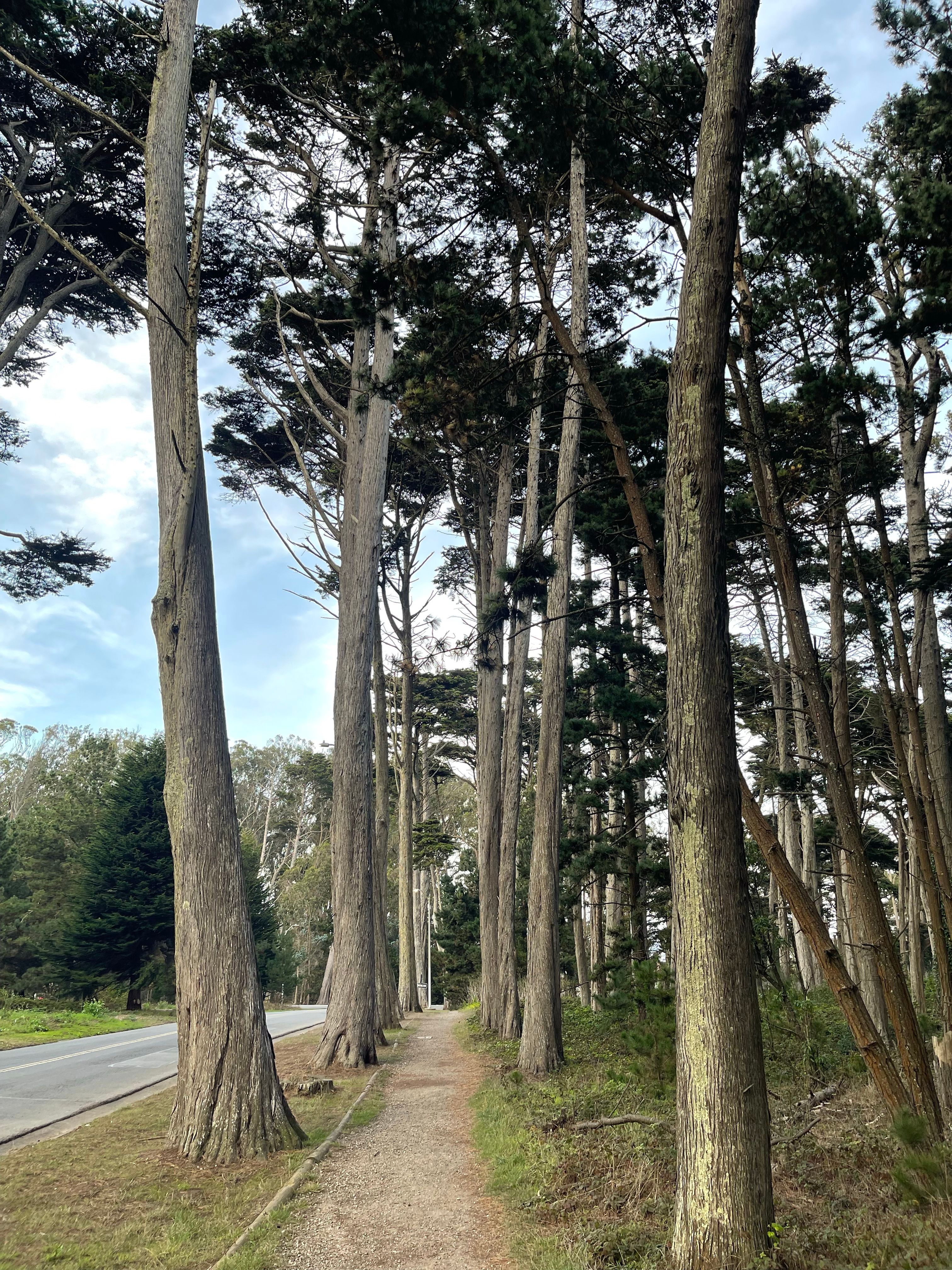 Presidio Ecology Trail loop