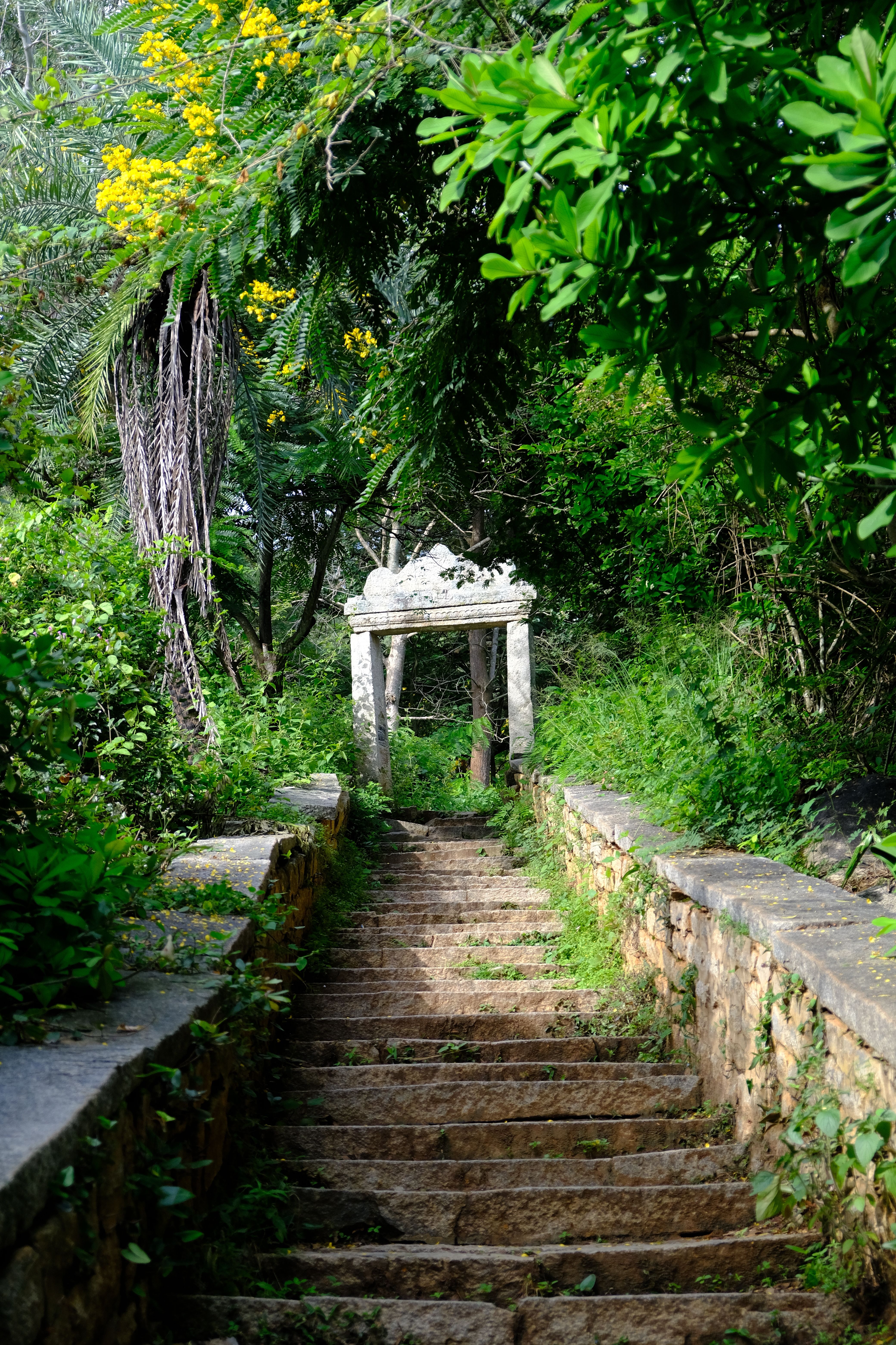 Explore serene stone steps leading to an ancient arch surrounded by lush greenery in Nandi Hills.