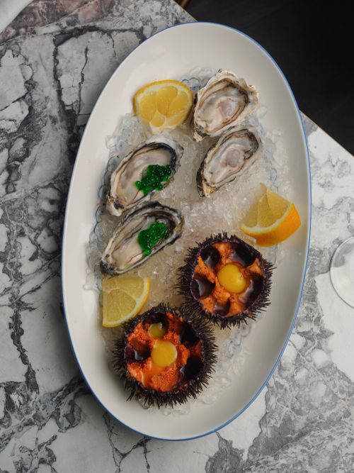 Free Elegant seafood platter featuring fresh oysters and sea urchin with lemon garnishes. Stock Photo