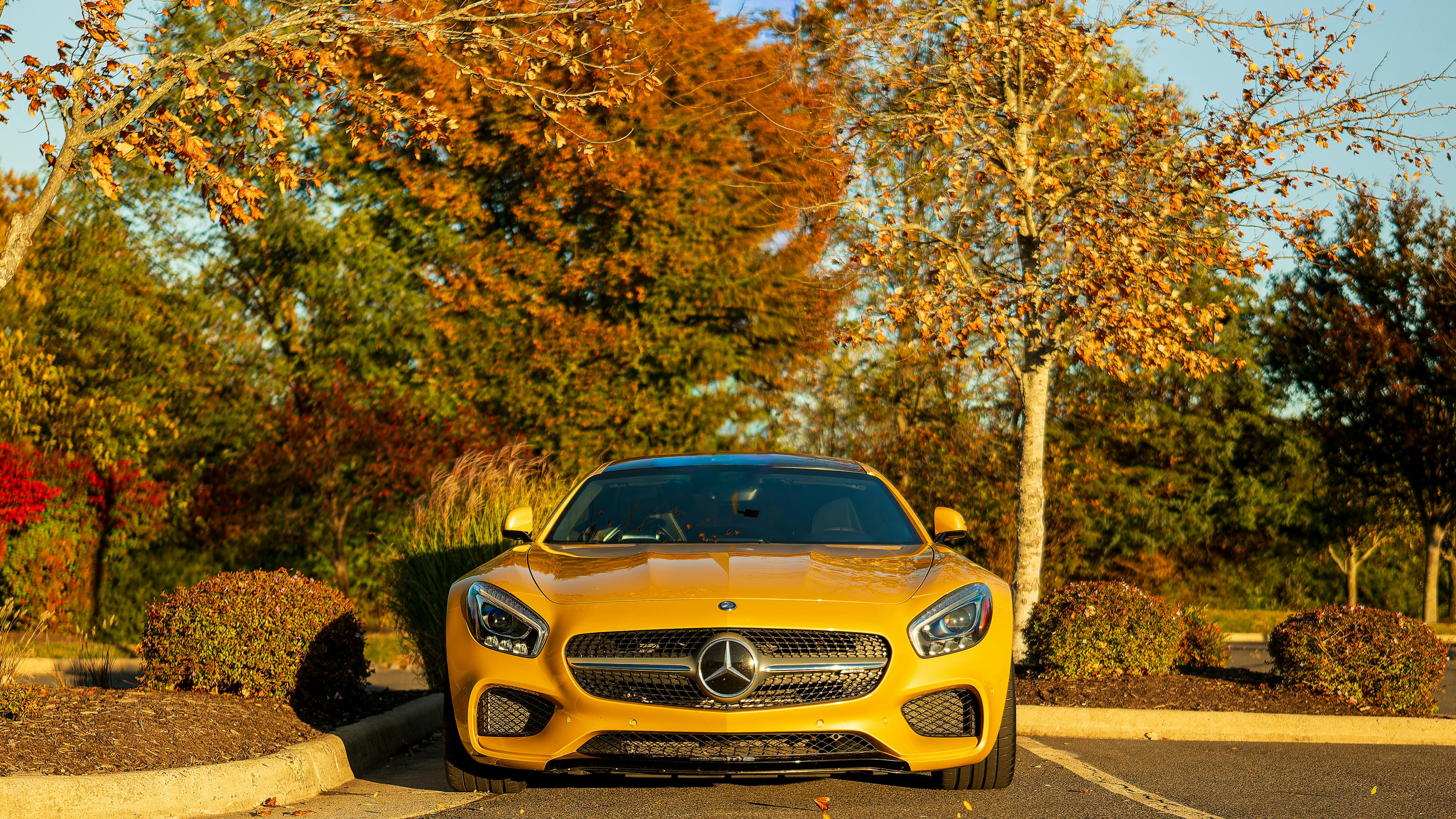 科技巨頭引領AI創新浪潮，推動美股強勁成長創新高