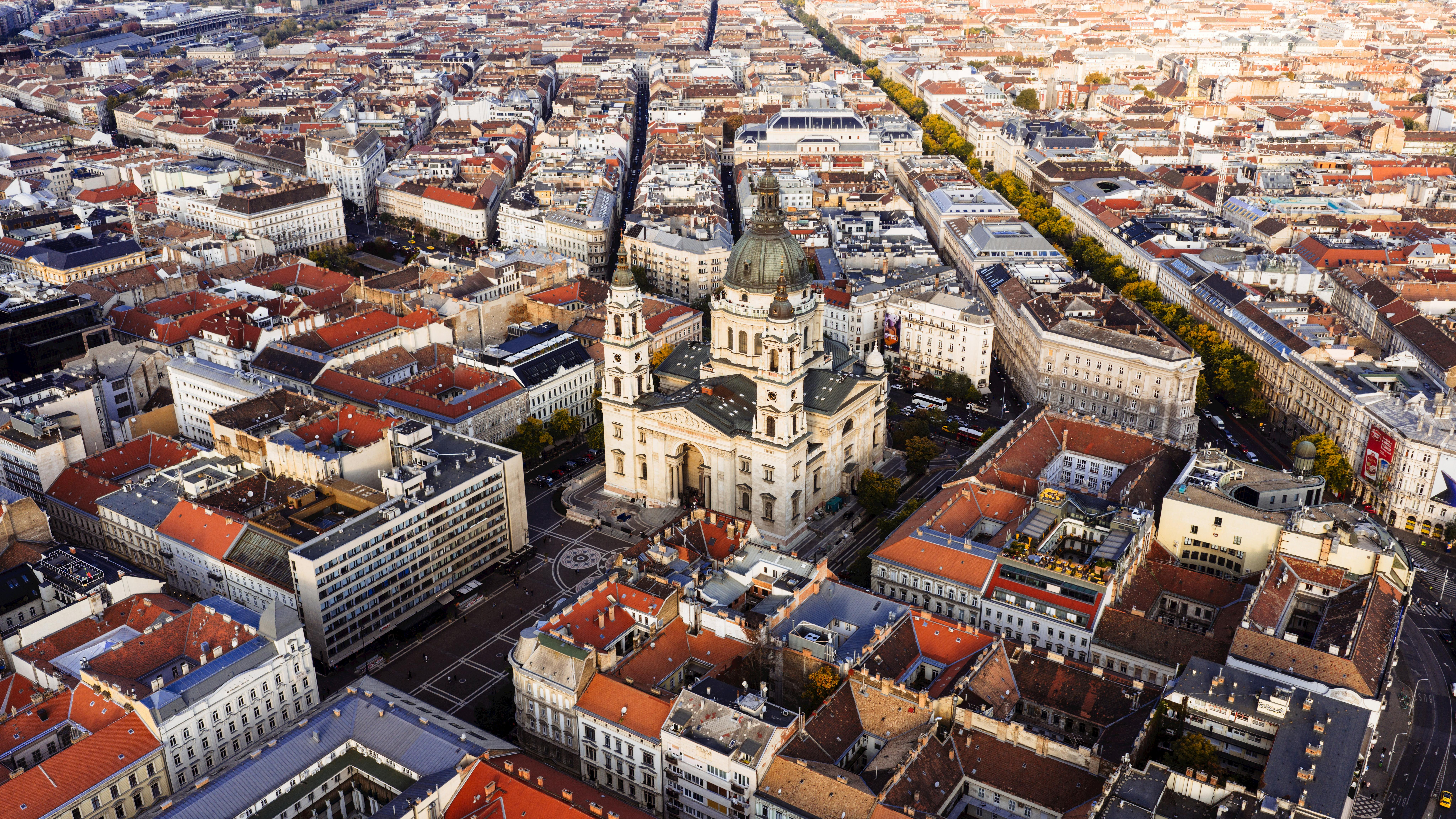 grátis Padrão Foto profissional