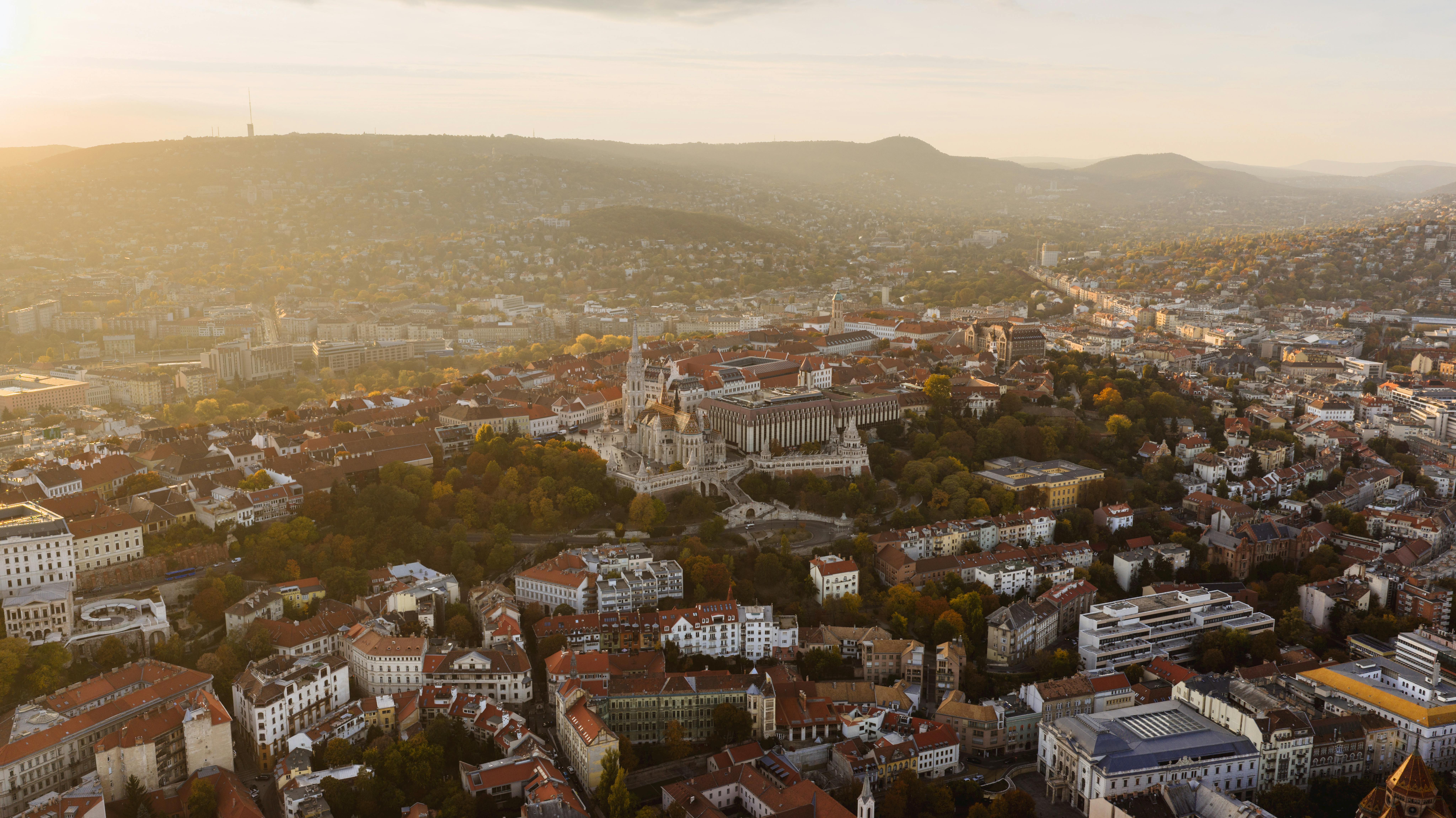 무료 기본 스톡 사진
