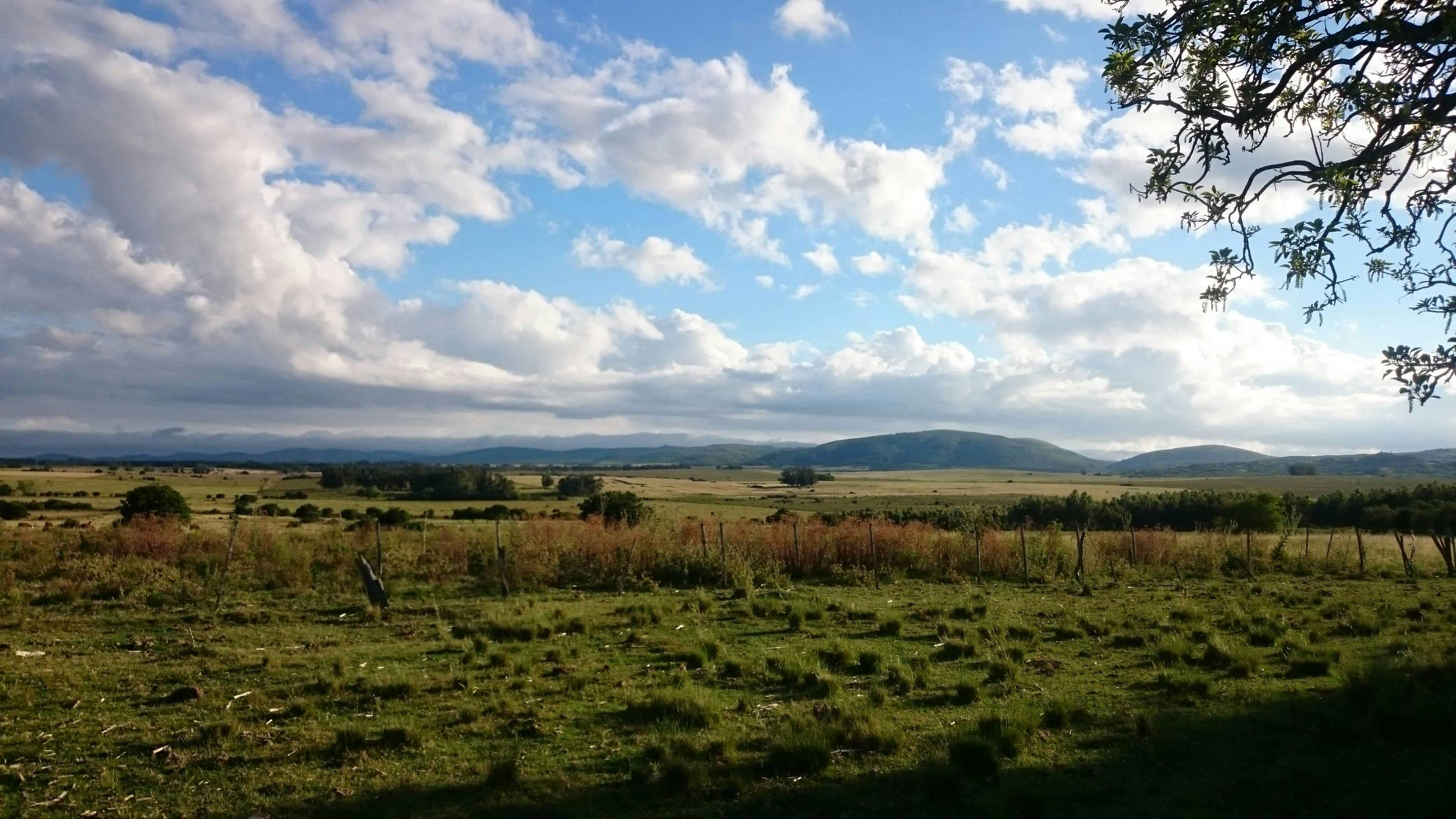 Thank you community advocates. 210 Strecker Road Marquart Stables
