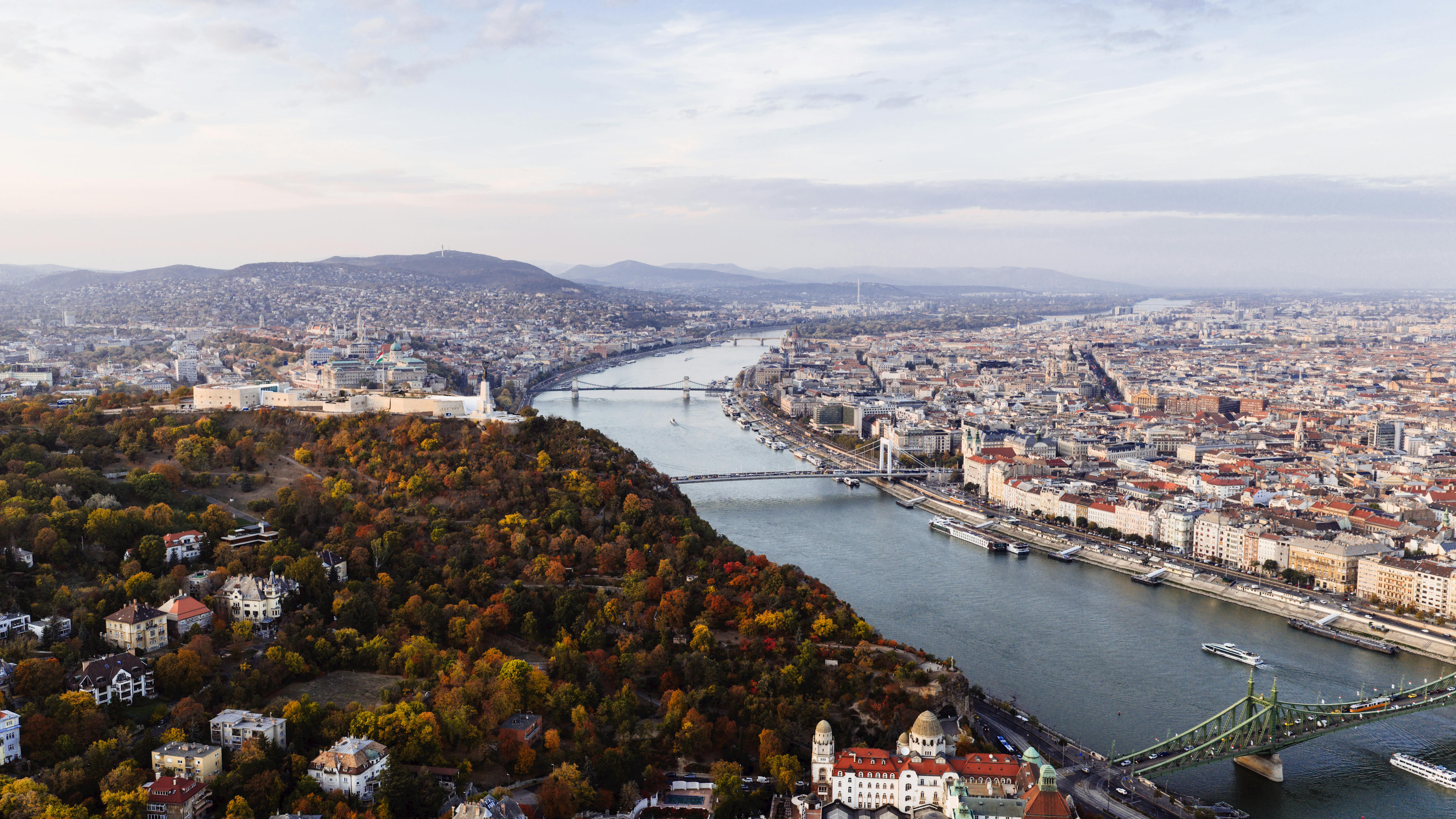 무료 기본 스톡 사진