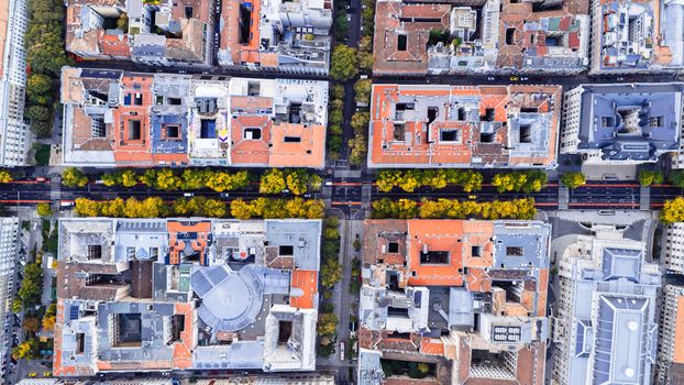 Stunning aerial view of Budapest's city blocks lined with autumn trees under crisp daylight.