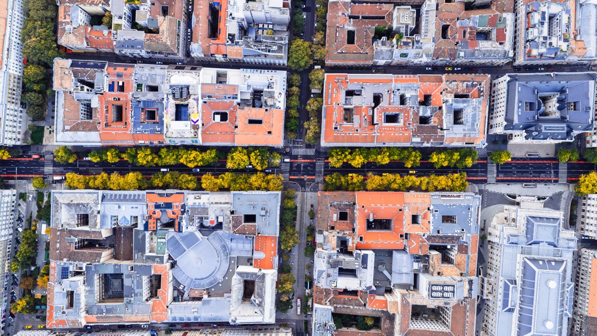 IA et reforestation urbaine : l’exemple de New York