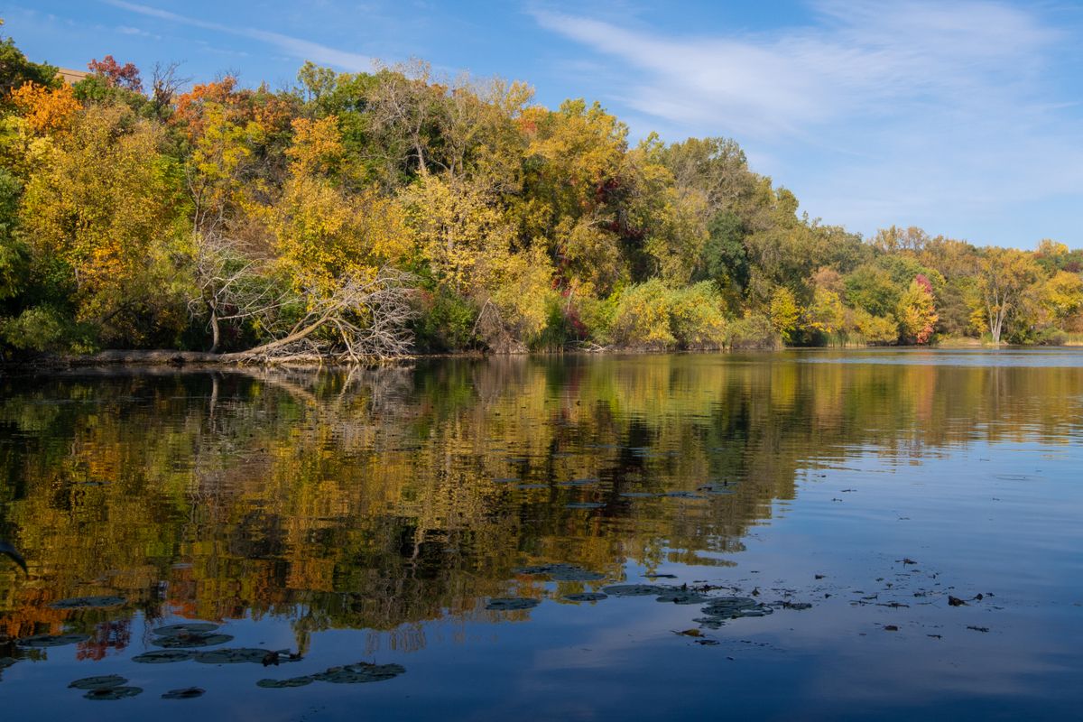 Peaceful Autumn Reflection on Calm Lake · Free Stock Photo