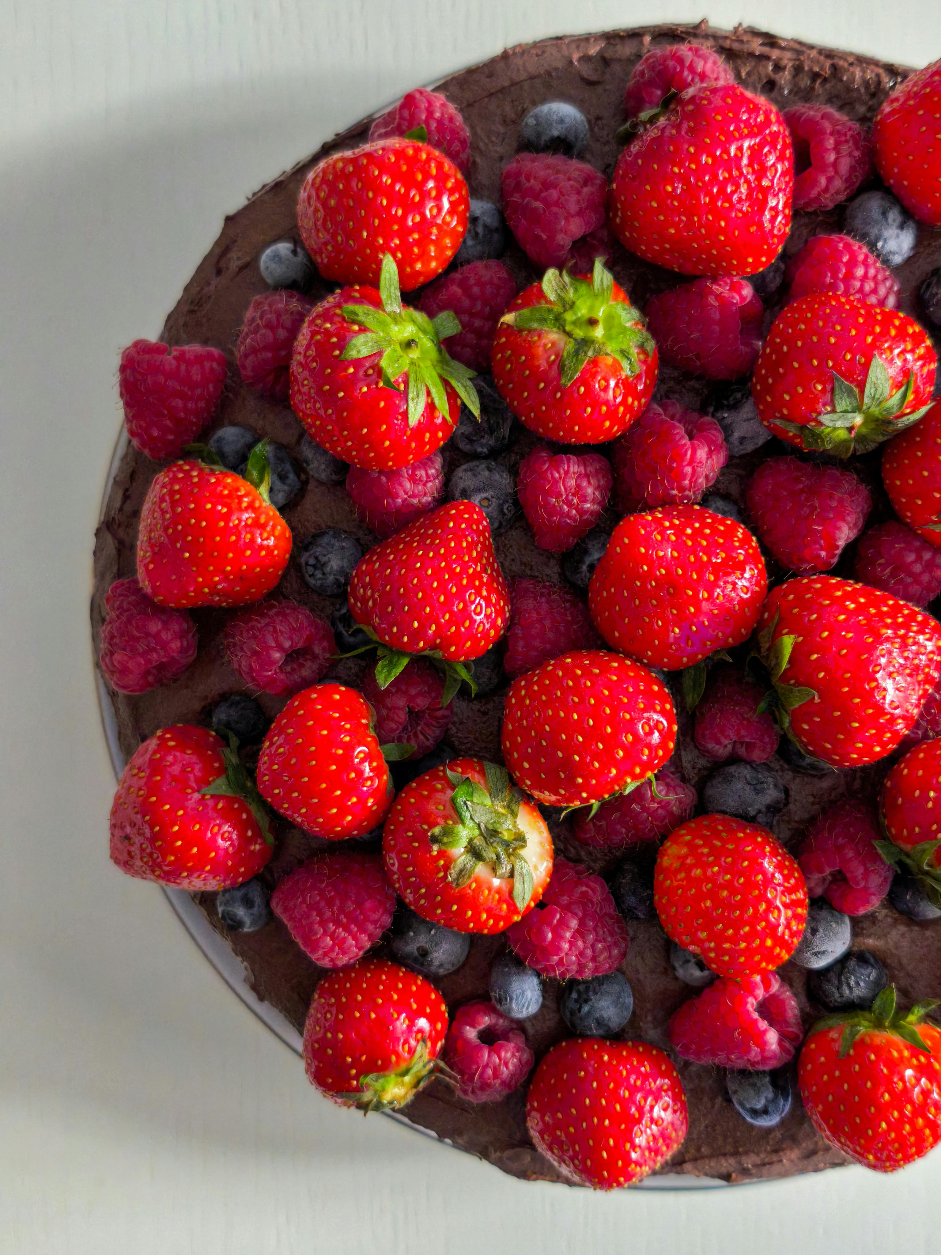 Racoon Drawing Photos Download The BEST Free Racoon Drawing Stock