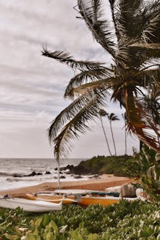 Photo by Mariya E. Shot with OldRoll Amour.