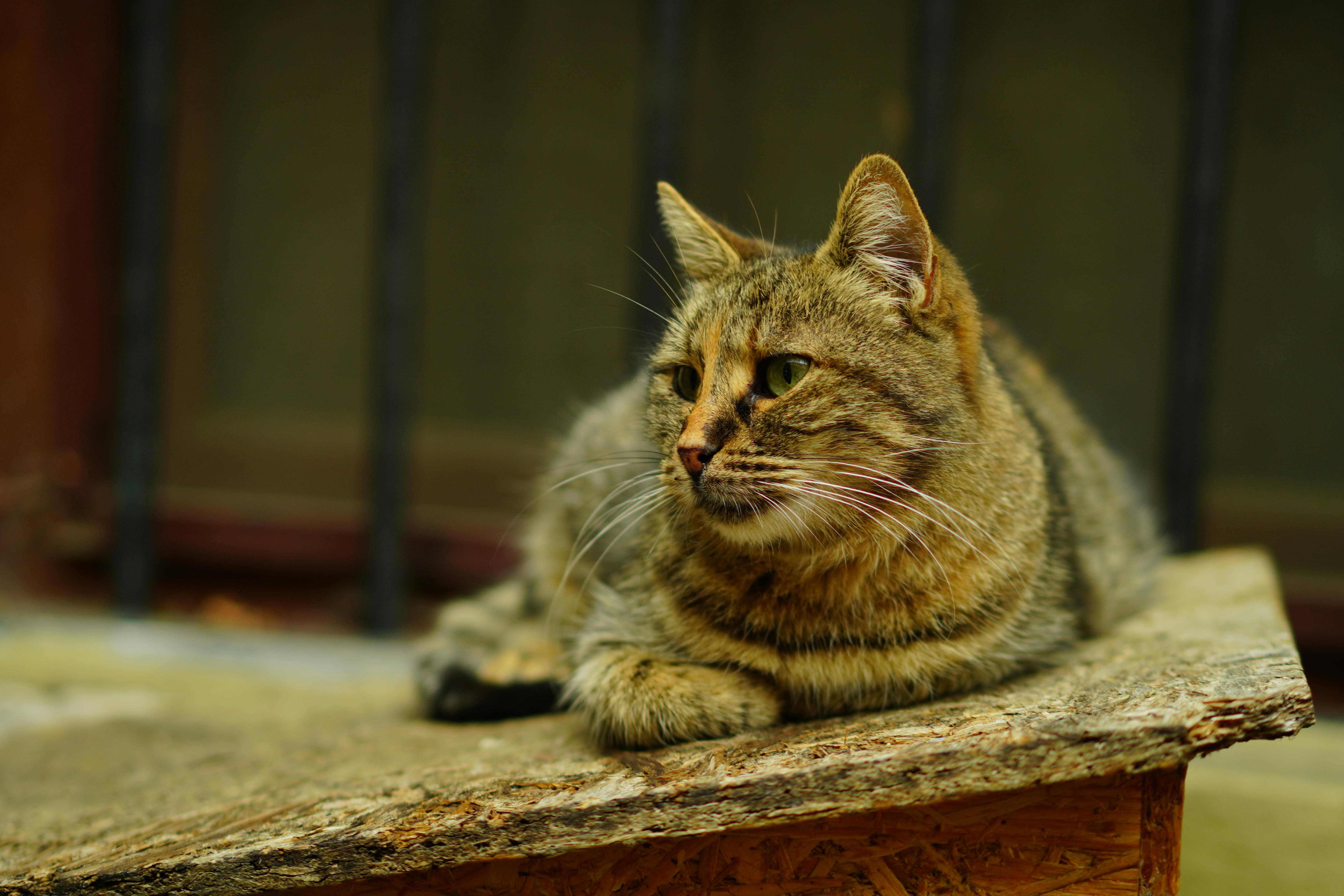 悠然銀彬大樓啟用 引進AI照護科技提升長者生活品質