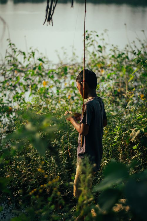 Free A young boy fishing by a tranquil lake, surrounded by lush greenery in rural India. Stock Photo
