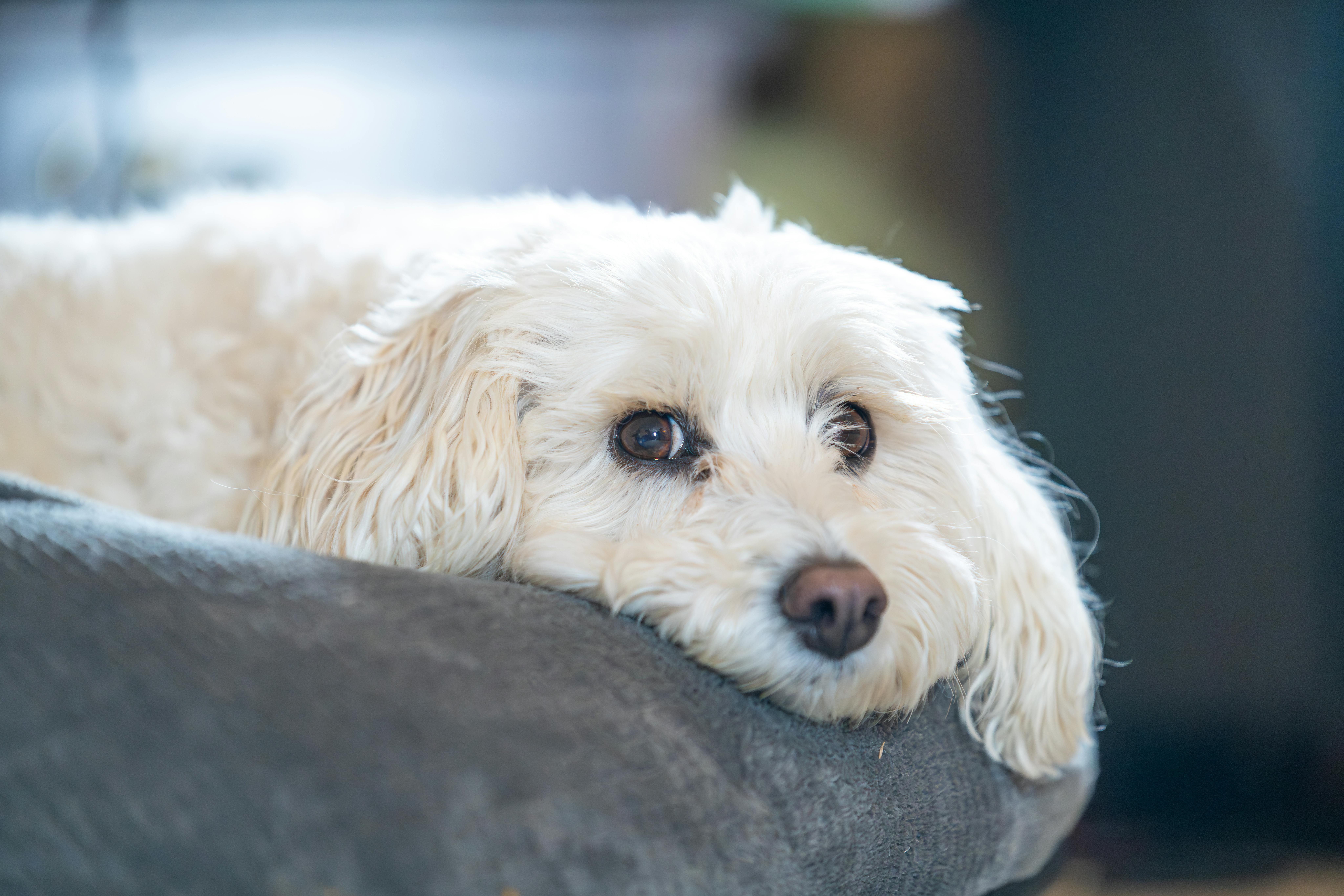 Inside the Eye of Hurricane Melissa: What We Learned from the 'Hurricane Hunters'